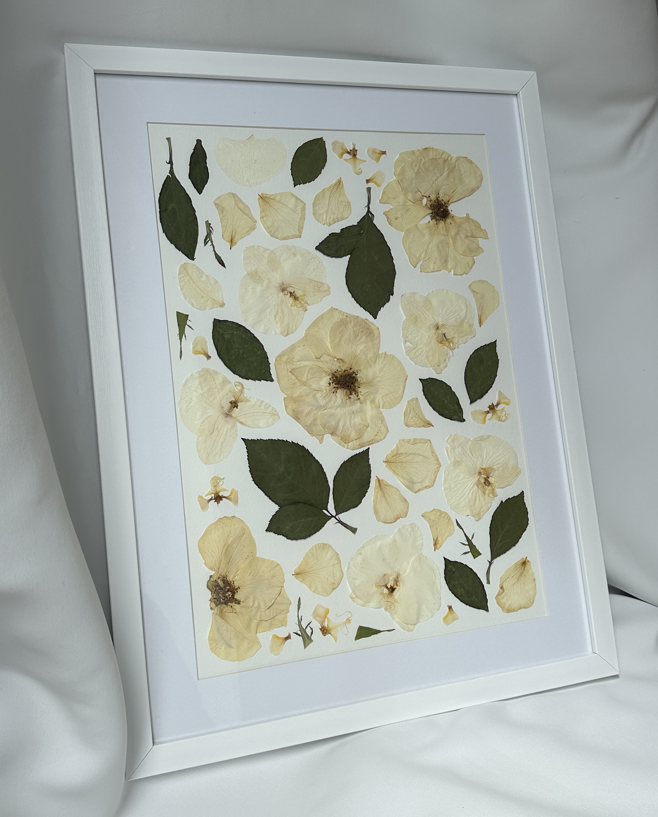 Framed artwork with pressed white and cream-colored flowers and green leaves arranged on a white background.