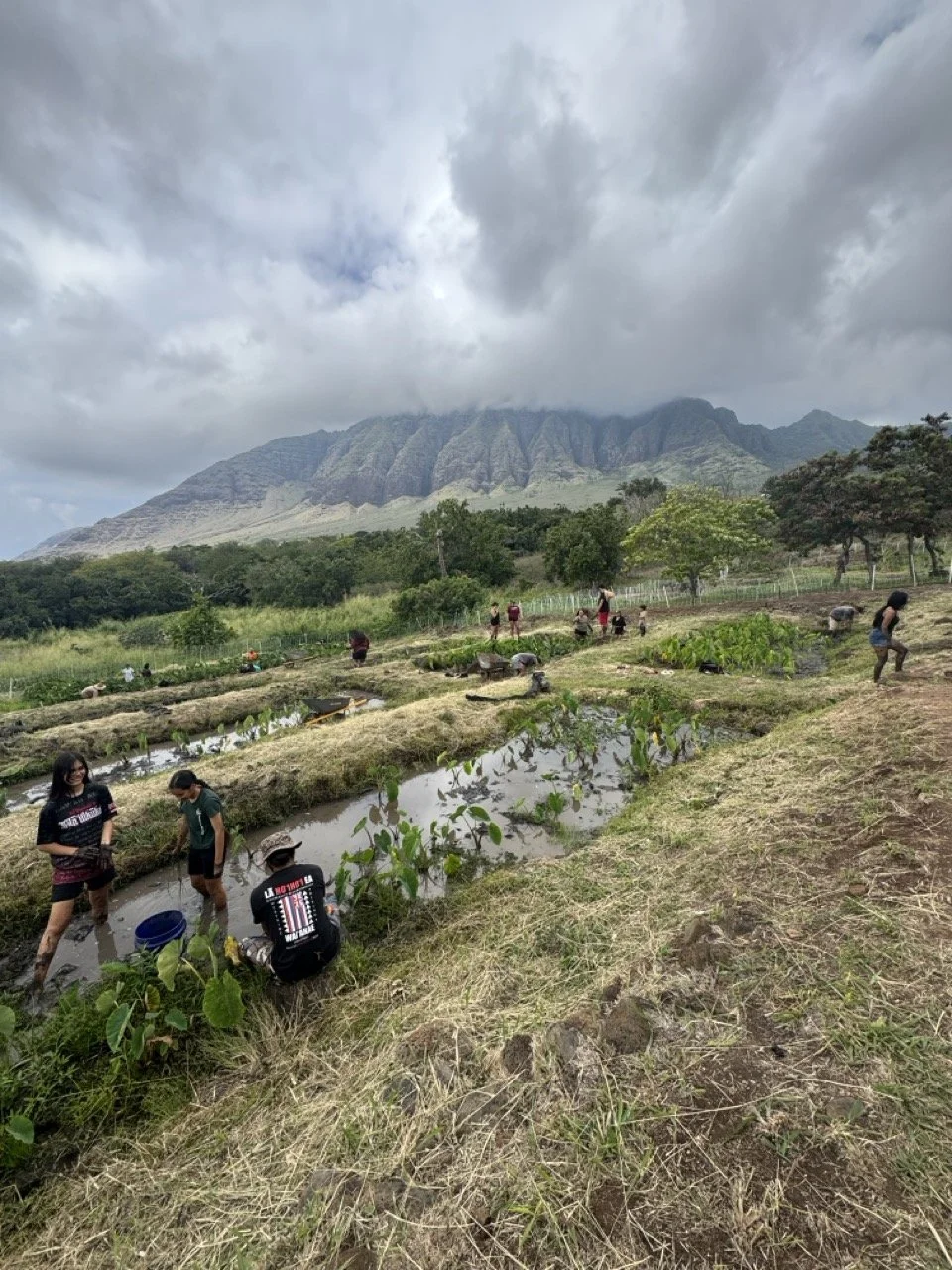 People working in small agricultural plots with mountains in the background and cloudy sky overhead.