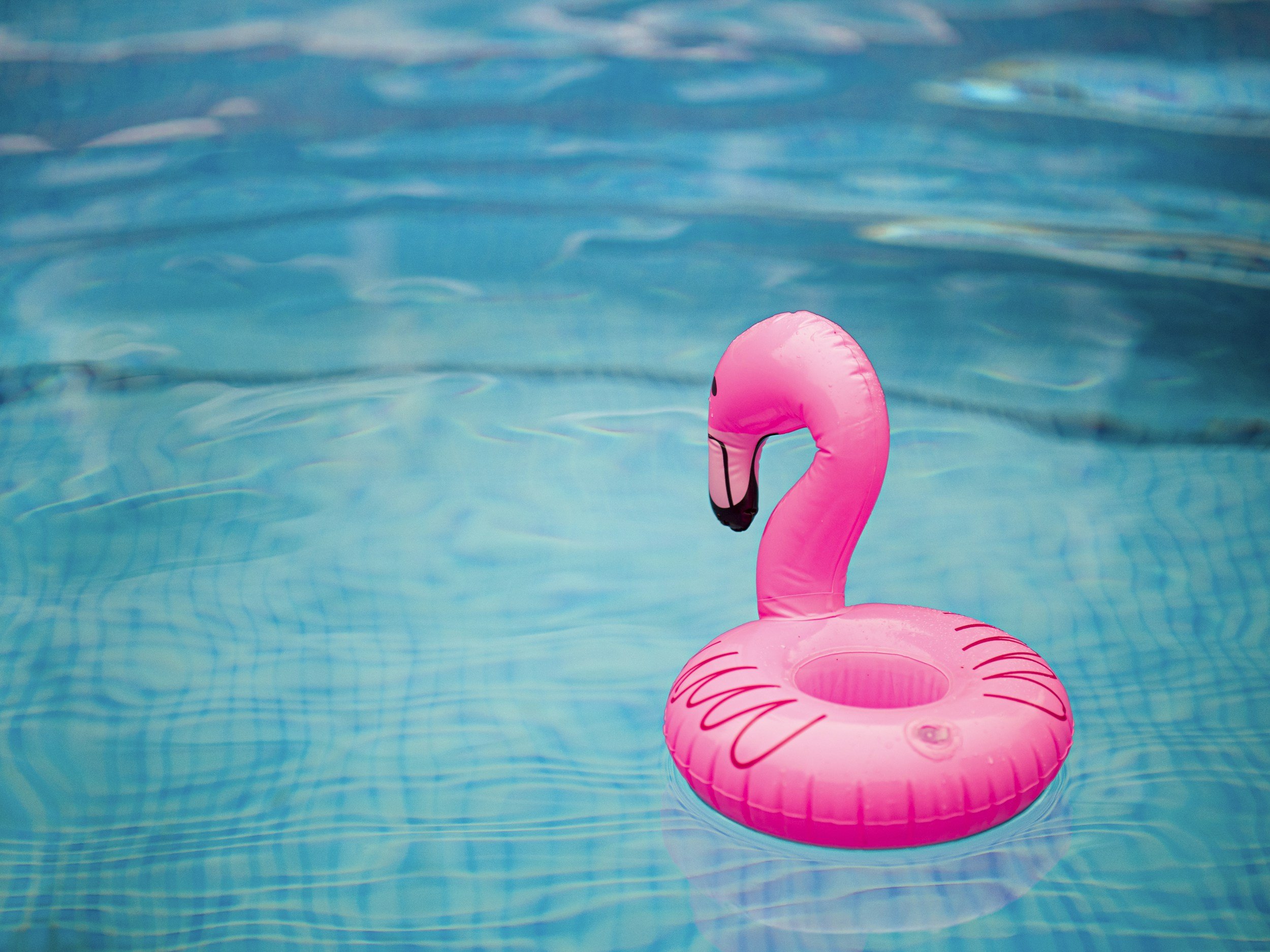 Amenity Rules and Guidelines (Pool and Bathrooms)