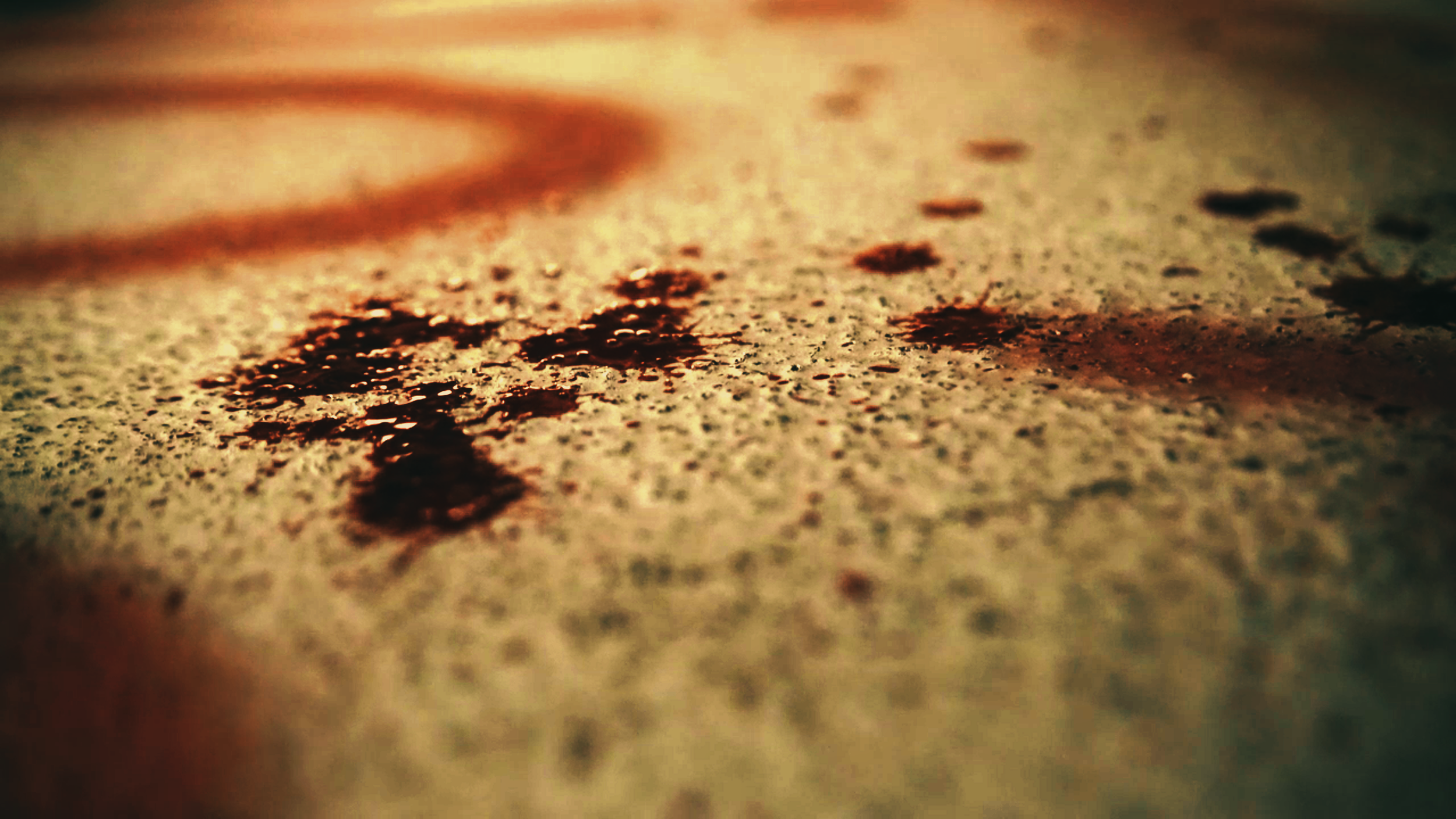 Hamza I May Have Too-copy.png