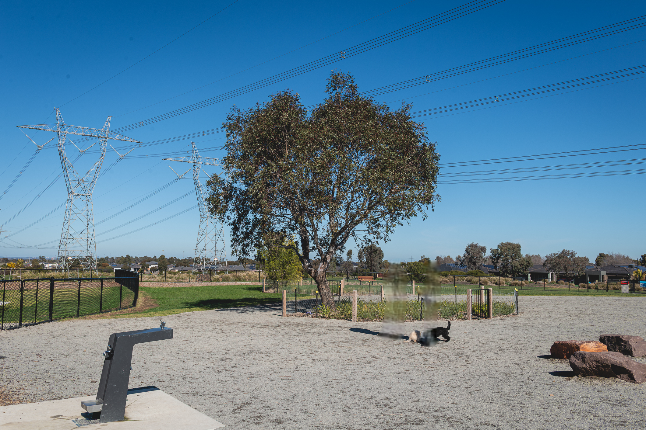 Allumba Park Dog Off Leash Area