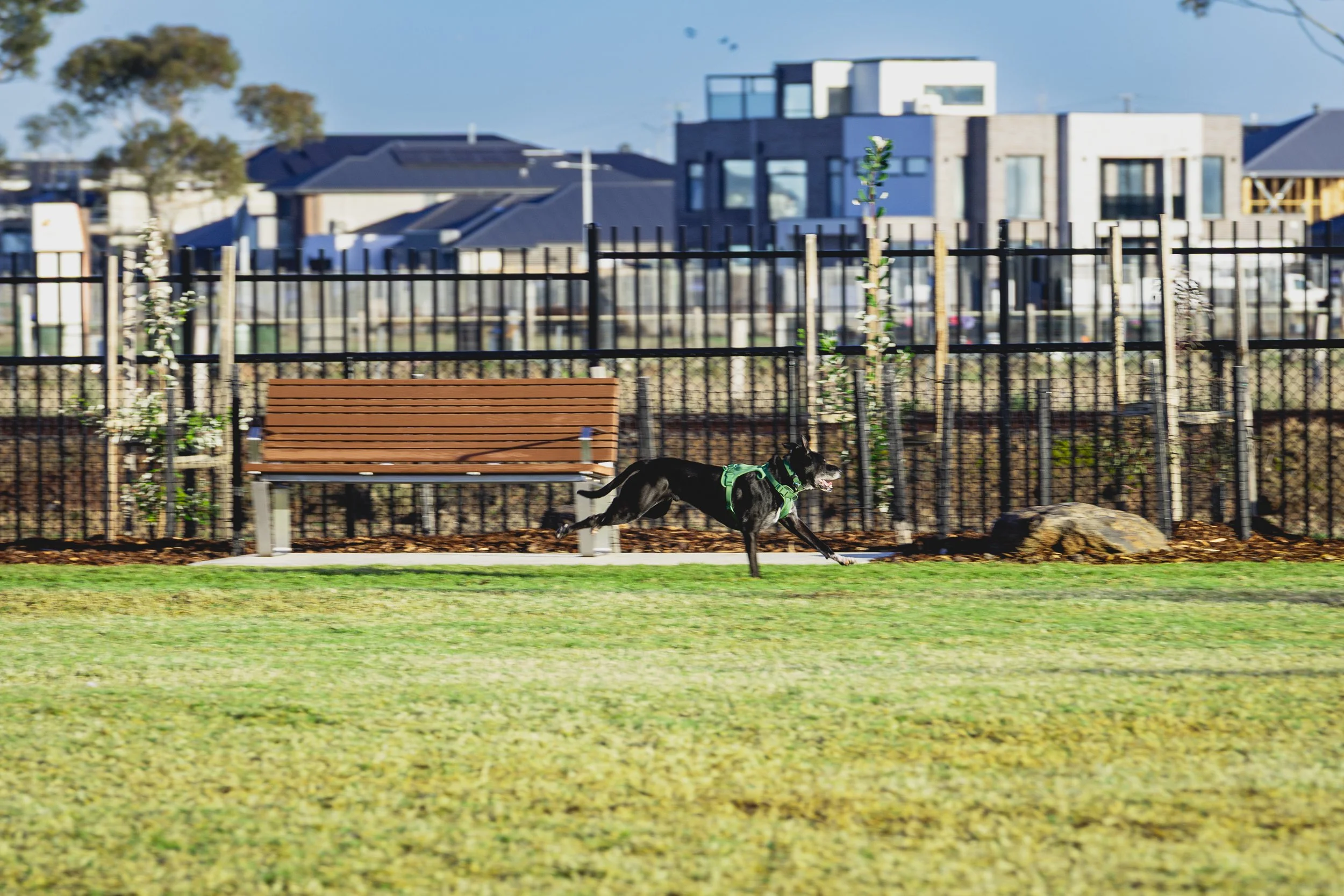 Site 1-10.jpg