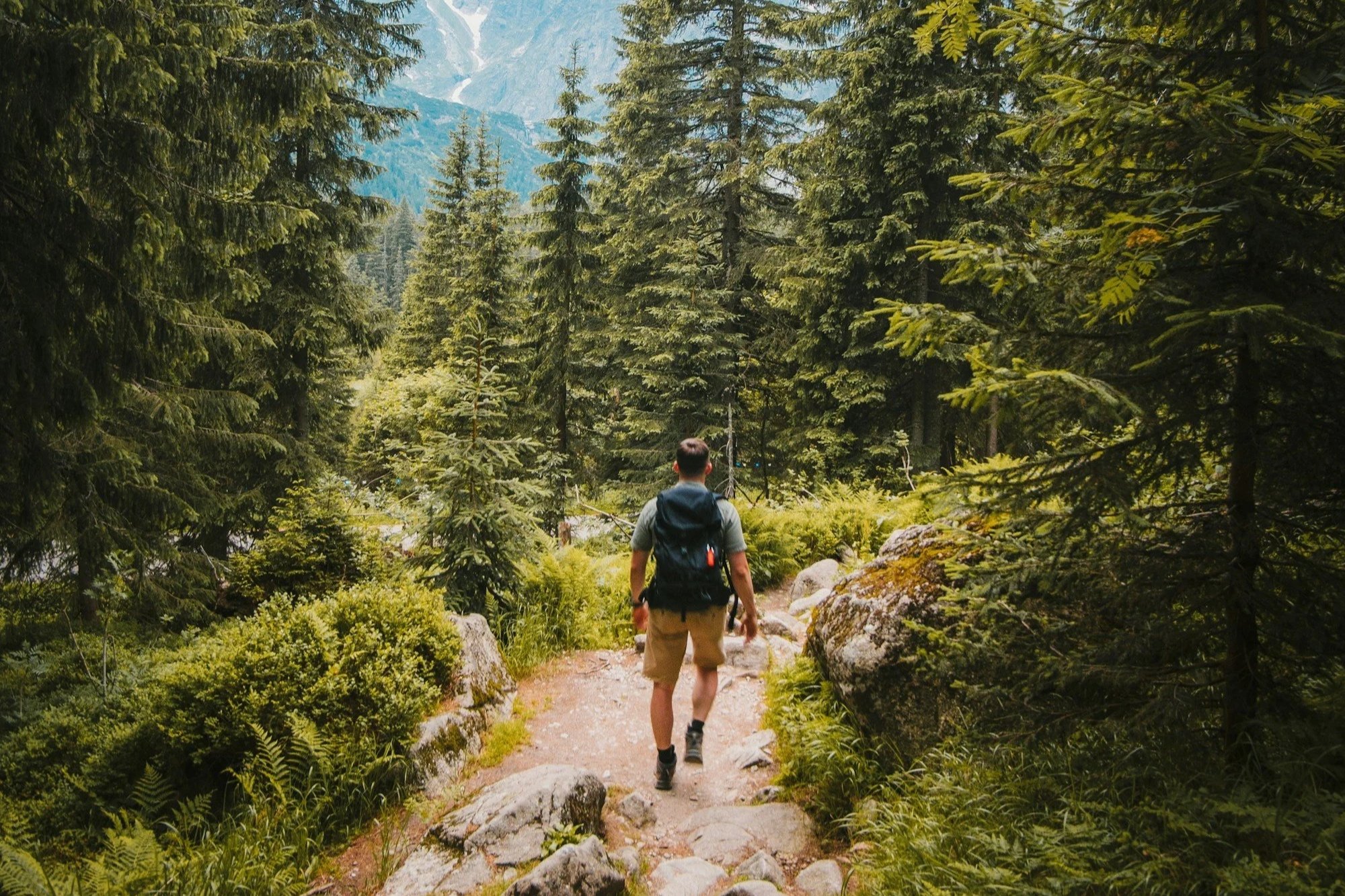 9-Month Coaching Plan