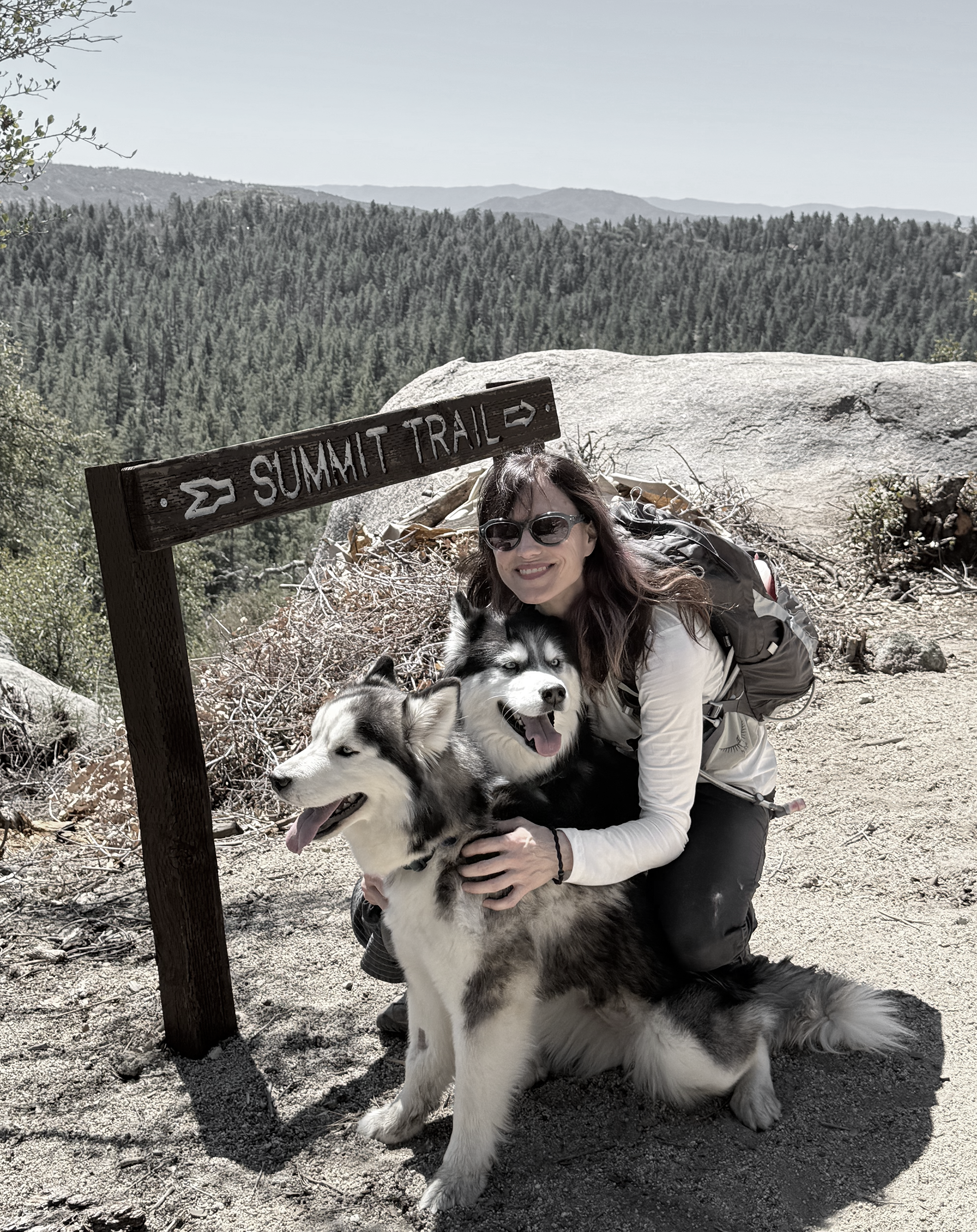 picture of Tracey, life purpose coach