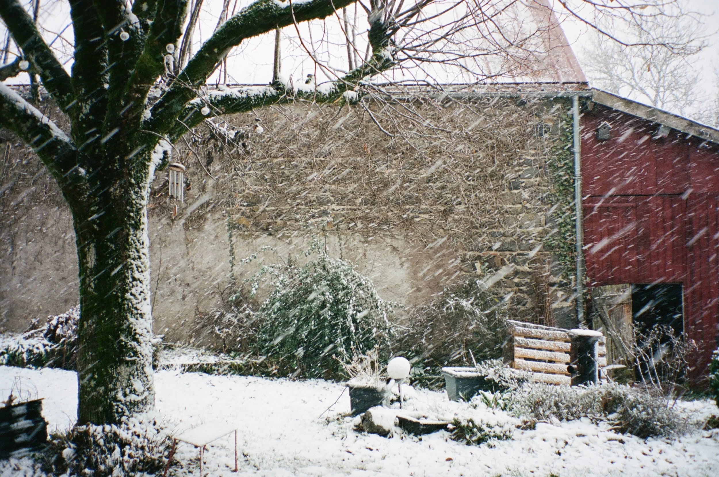 Photo 27-1-2023, 5 05 28 pm.jpg