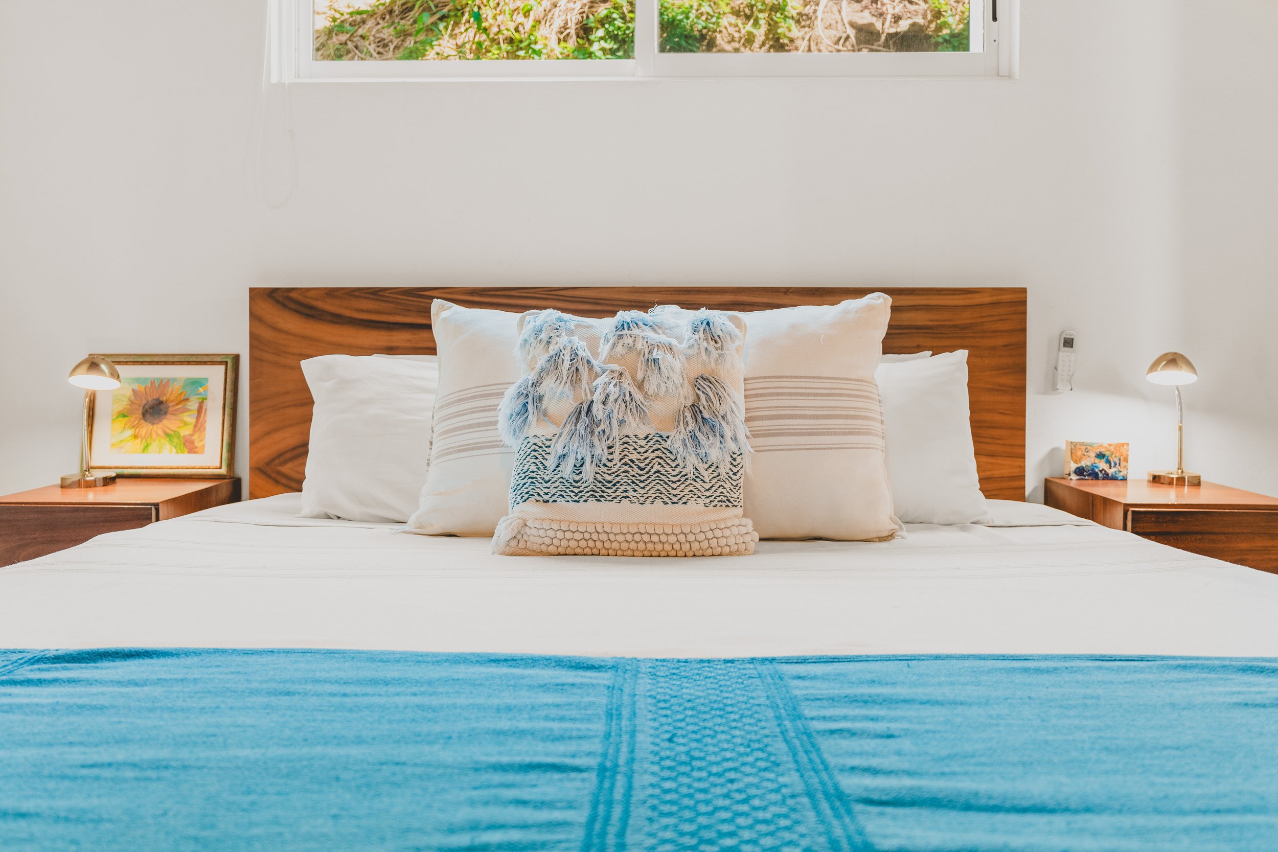 Briana D_Esposito-02.jpg