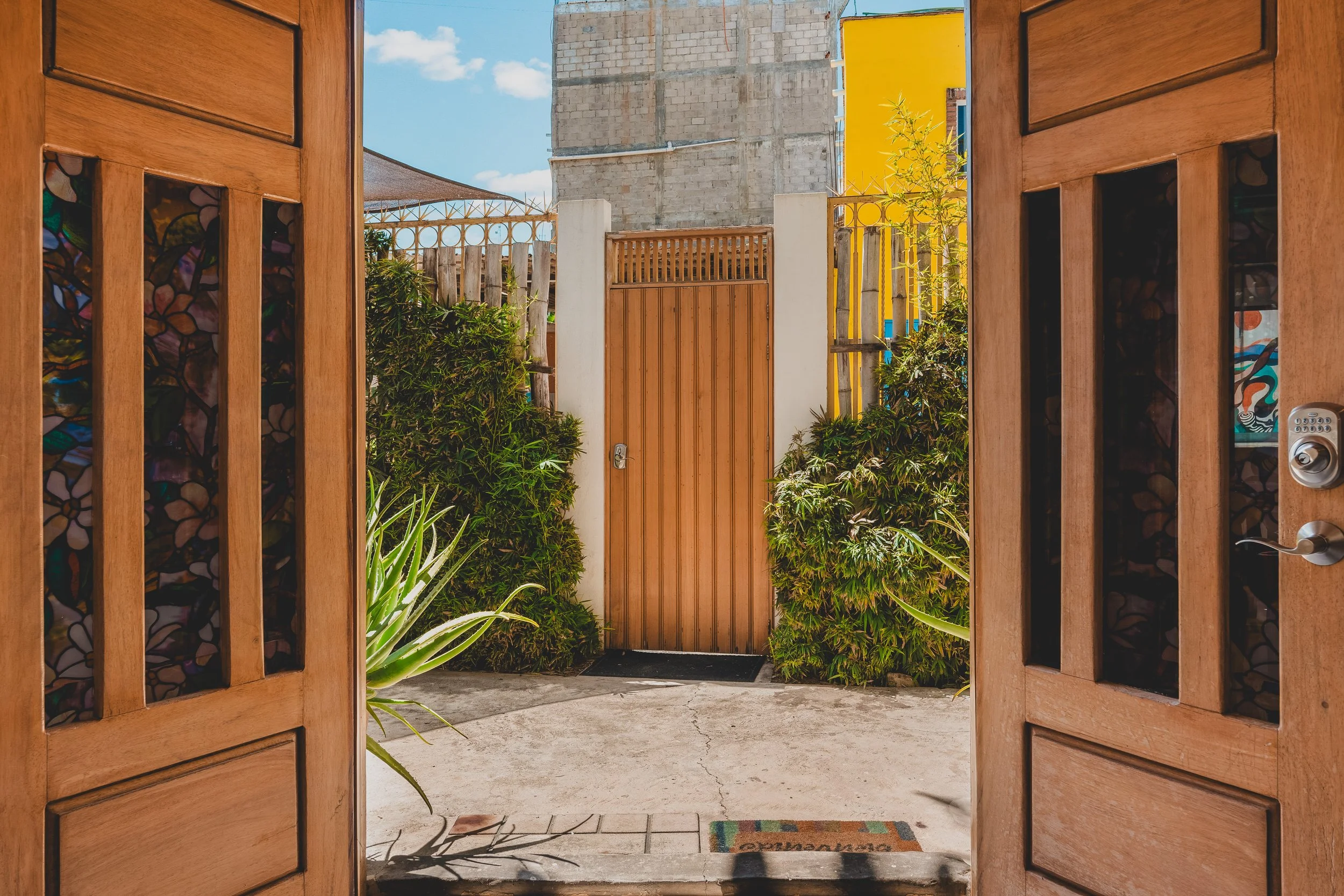 Briana D_Esposito-46.jpg