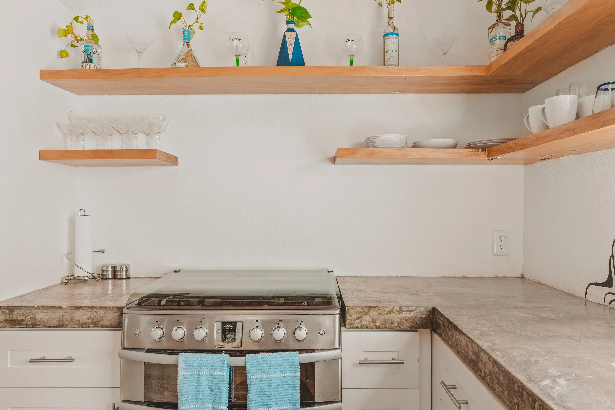 Briana D_Esposito-38.jpg