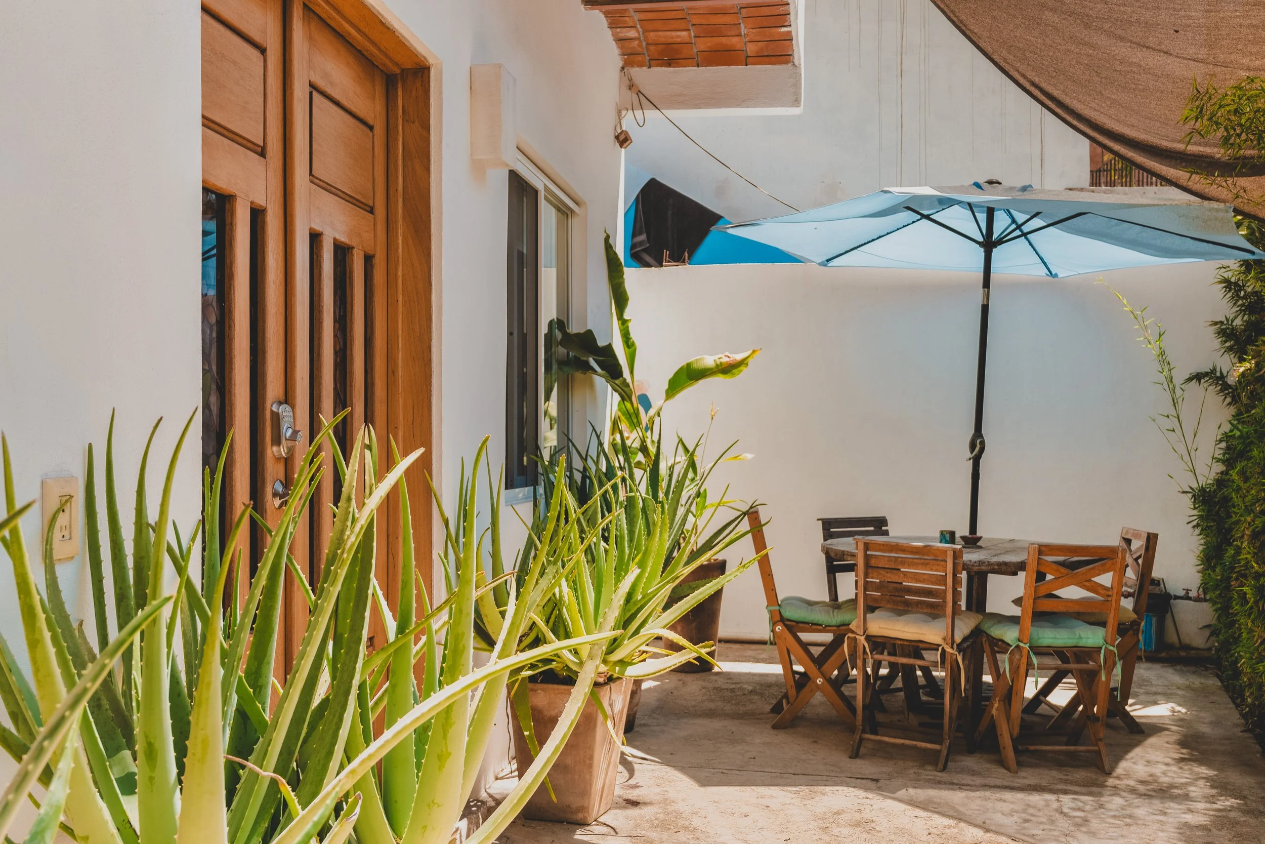 Briana D_Esposito-49.jpg