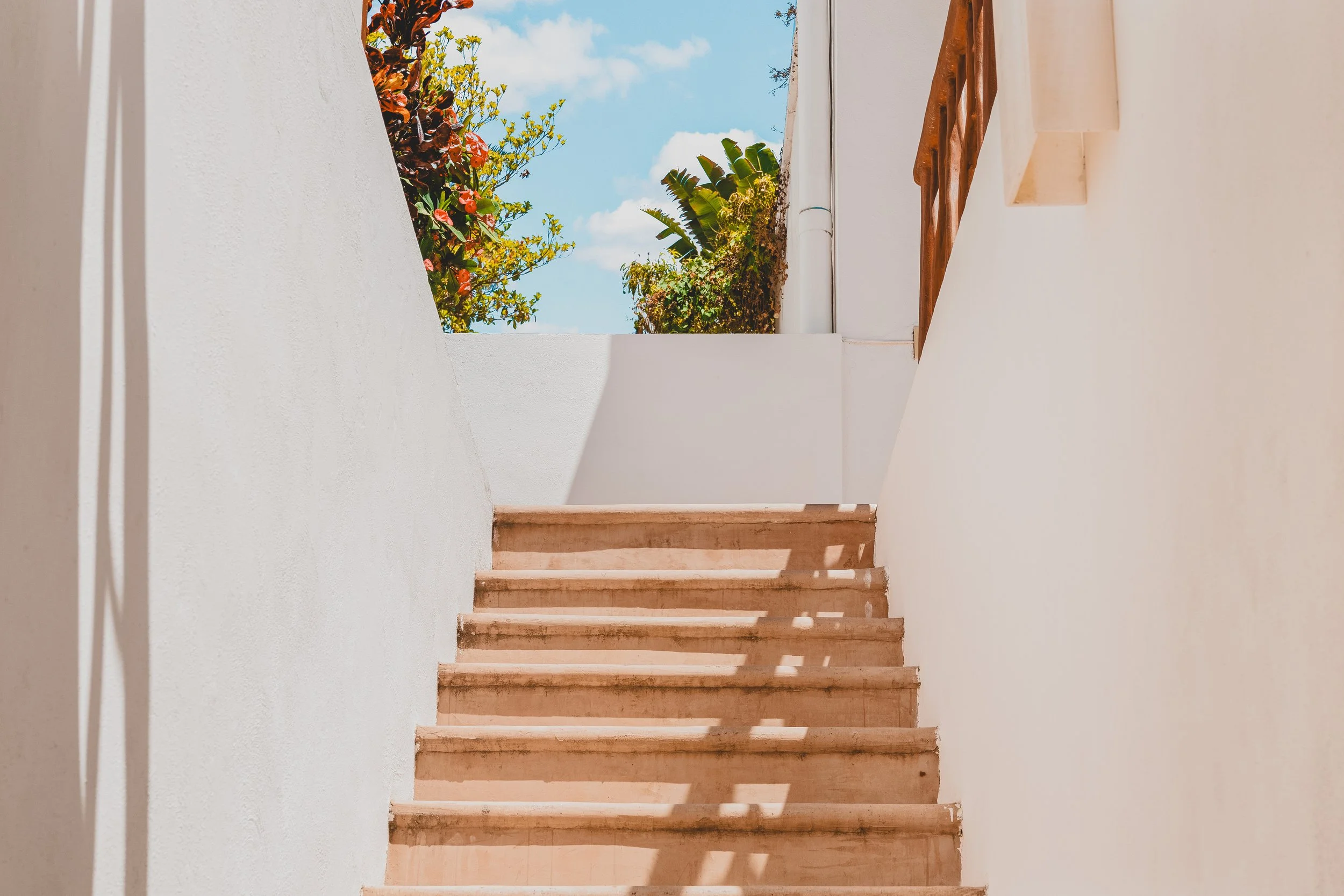 Briana D_Esposito-53.jpg