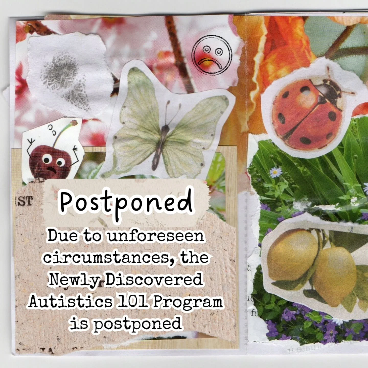 Due to unforeseen circumstances, the Newly Discovered Autistics 101 Program will be postponed

Please reach out if you're interested!