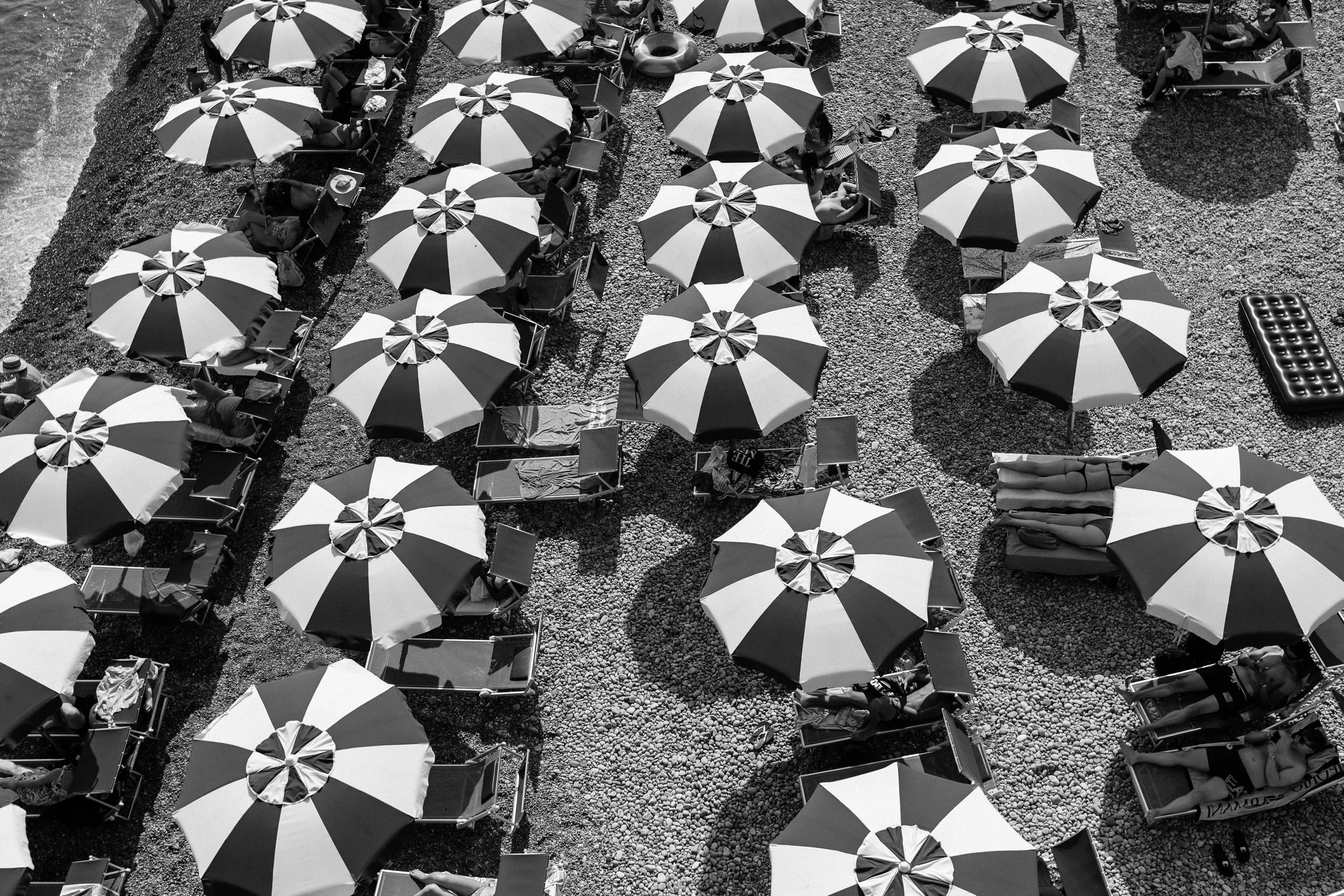 Umbrellas in Black and White