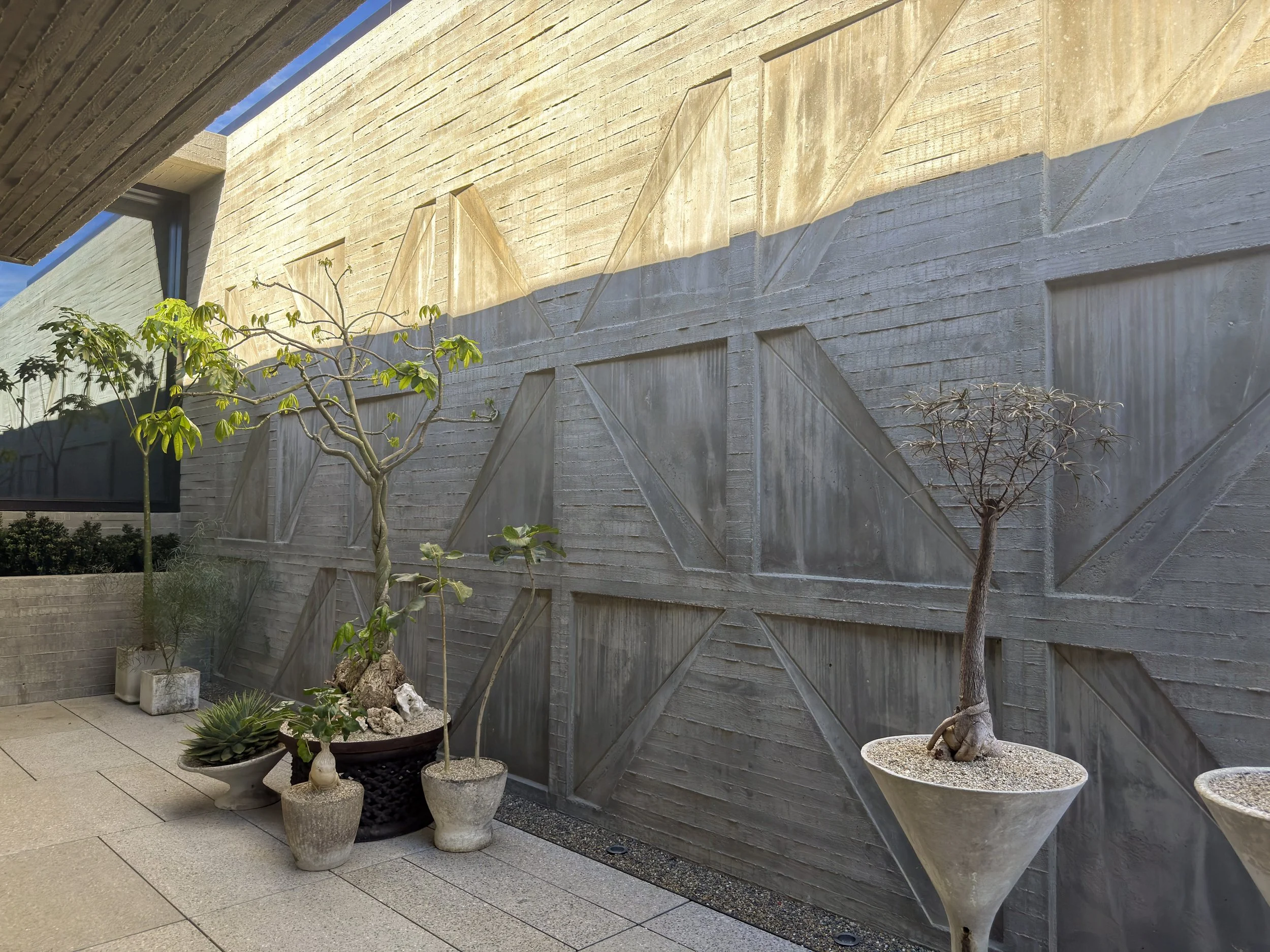 dworkshop_facetwall-3.jpg