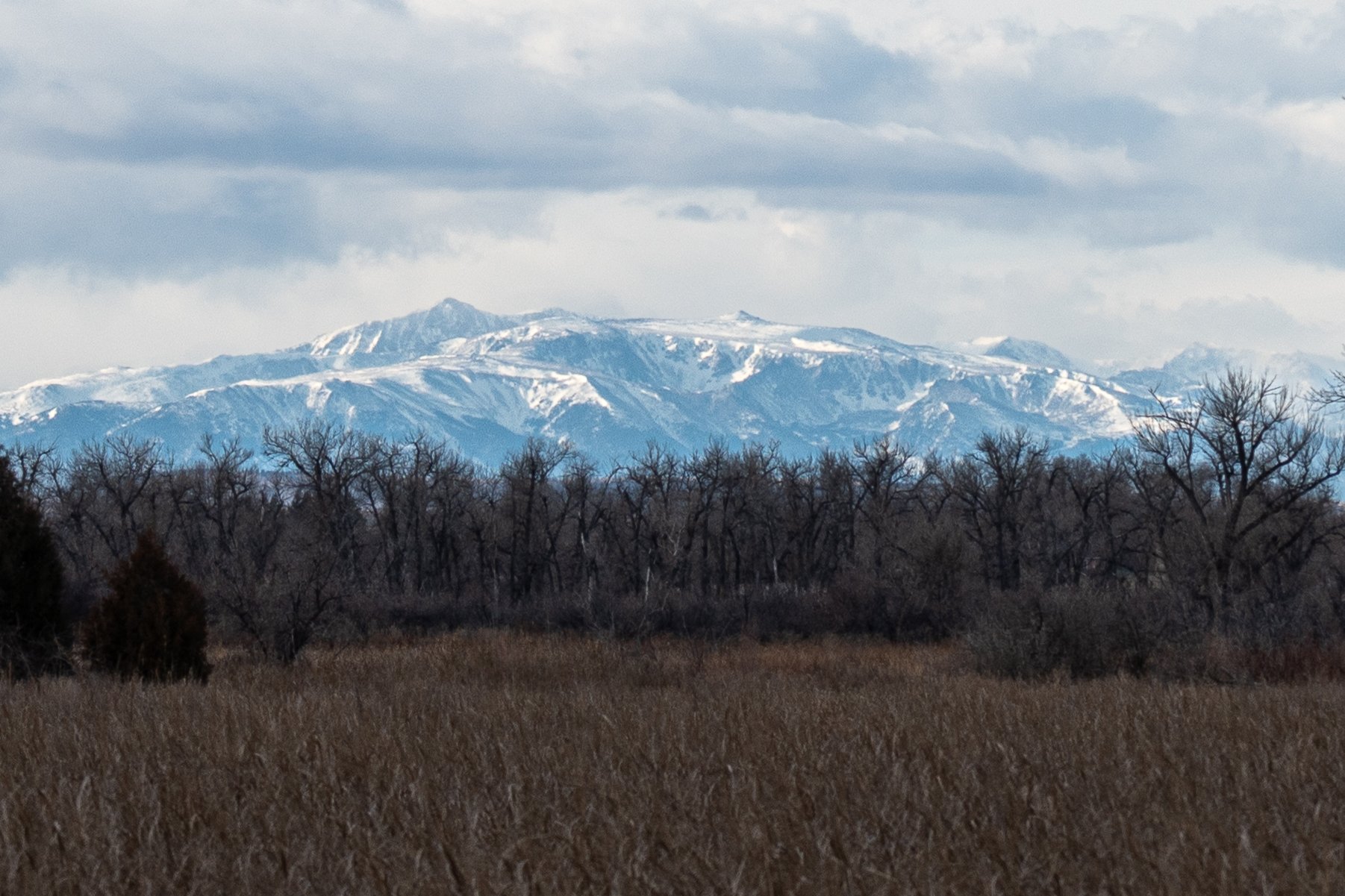 "Snowy Peaks and Leafless Trees"