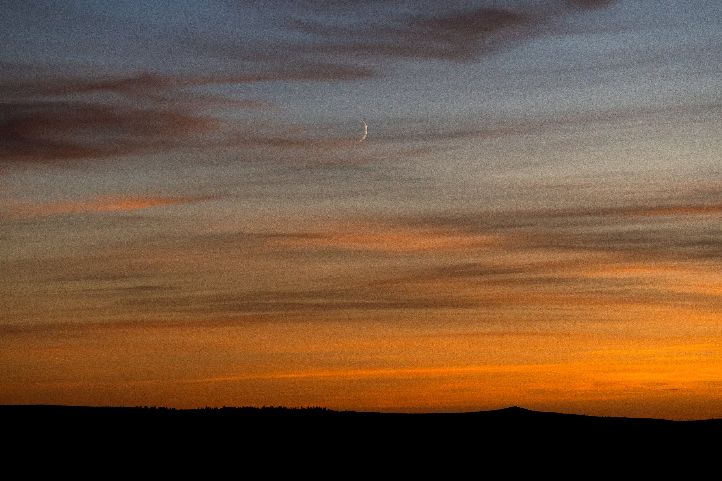 Moon Sunset.jpg