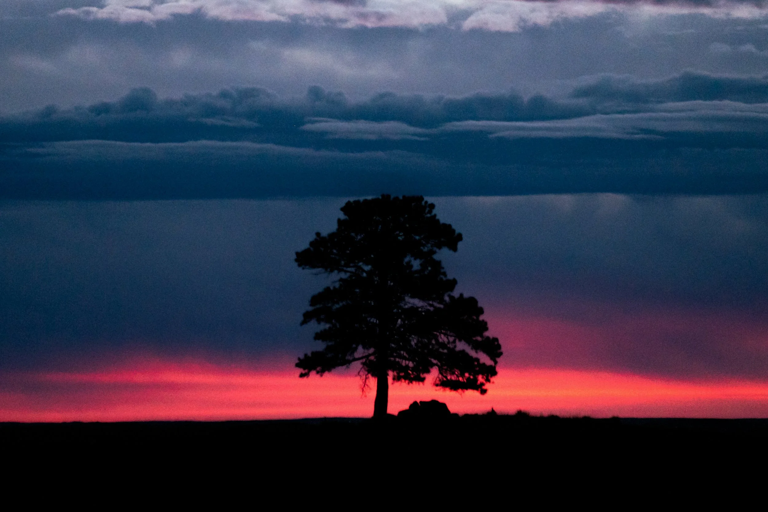 Lone Tree Sunrise