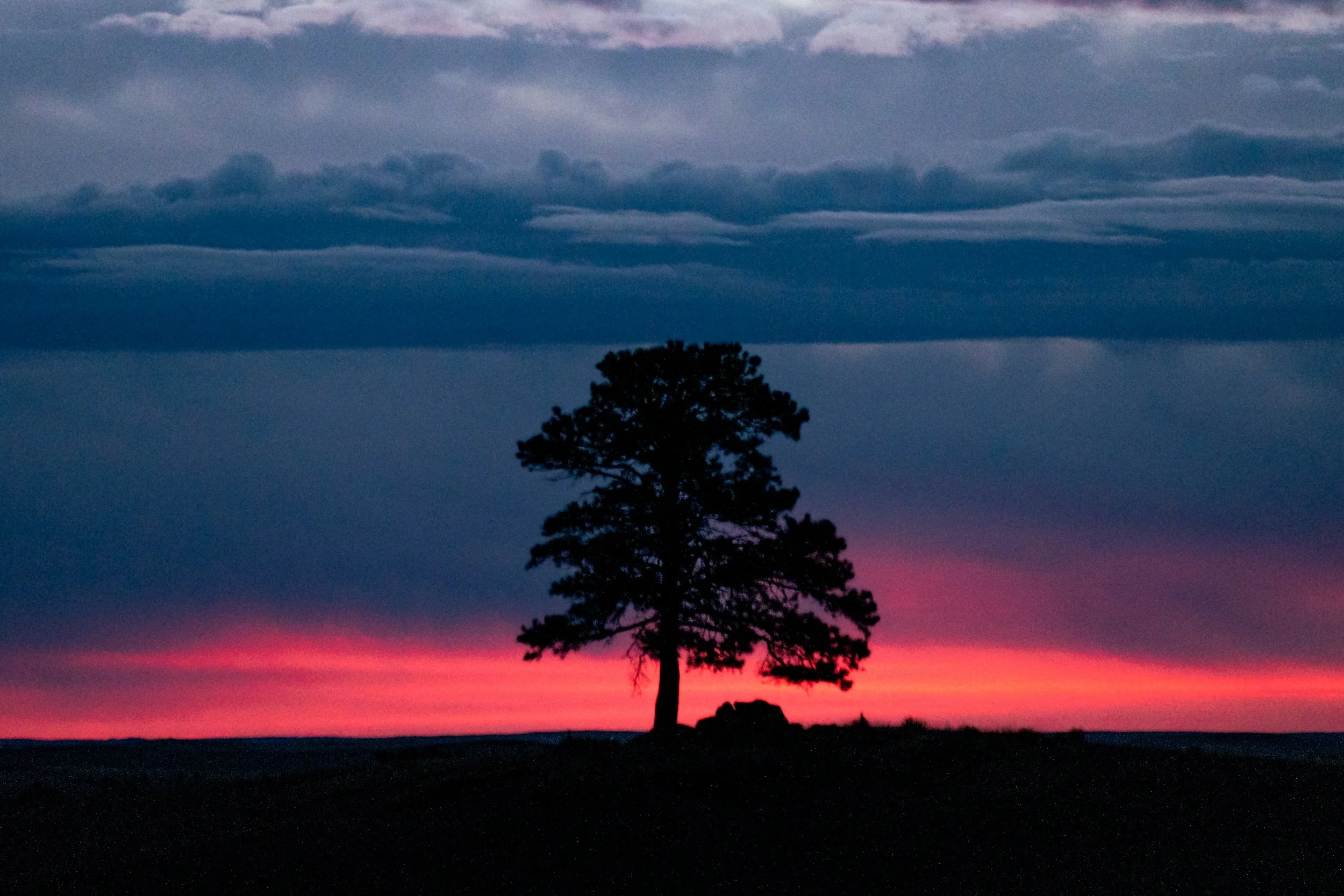 Lone Tree Sunrise.jpg