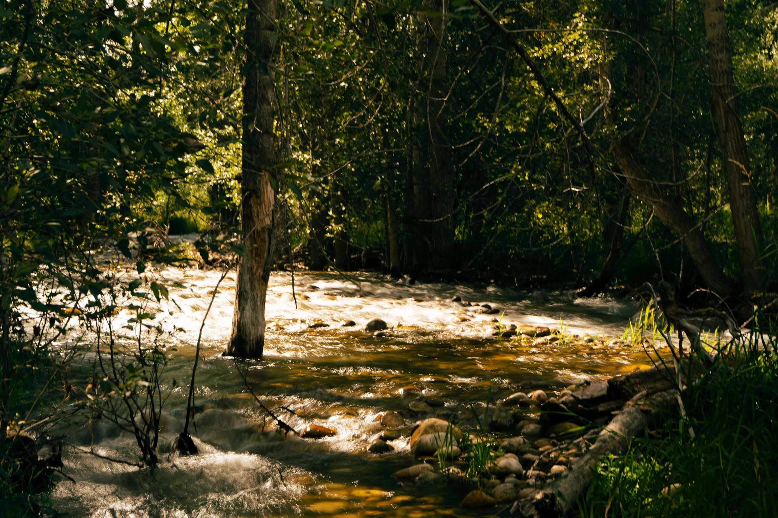 "Soft Stream"