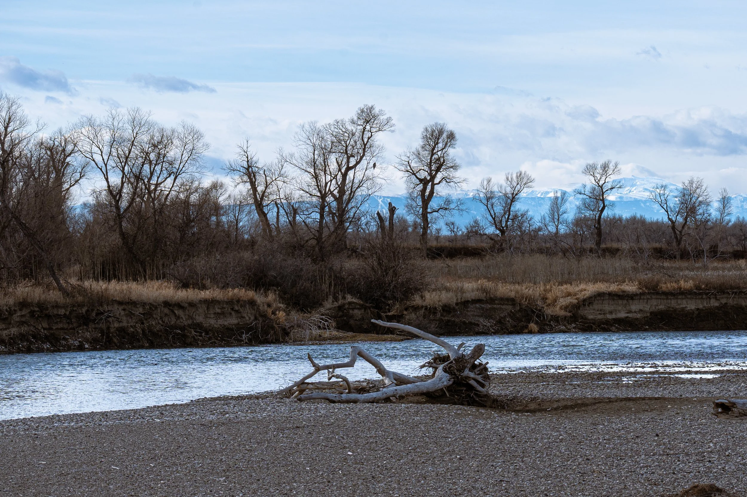 "Rocky Beaches and Backgrounds"