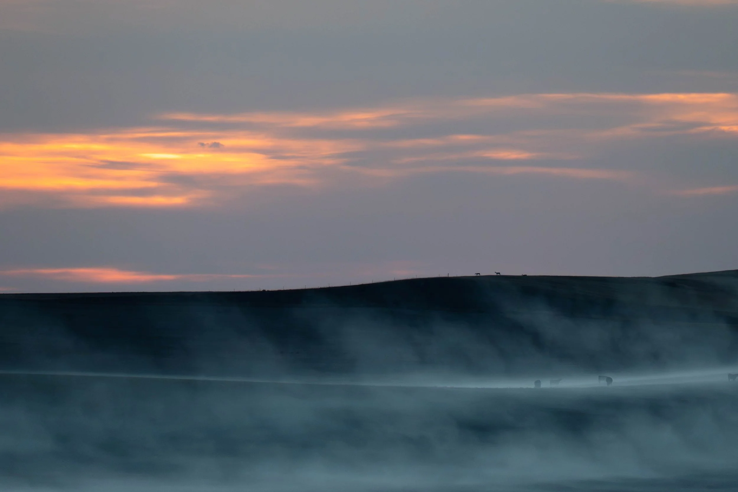 "Fake Fog"