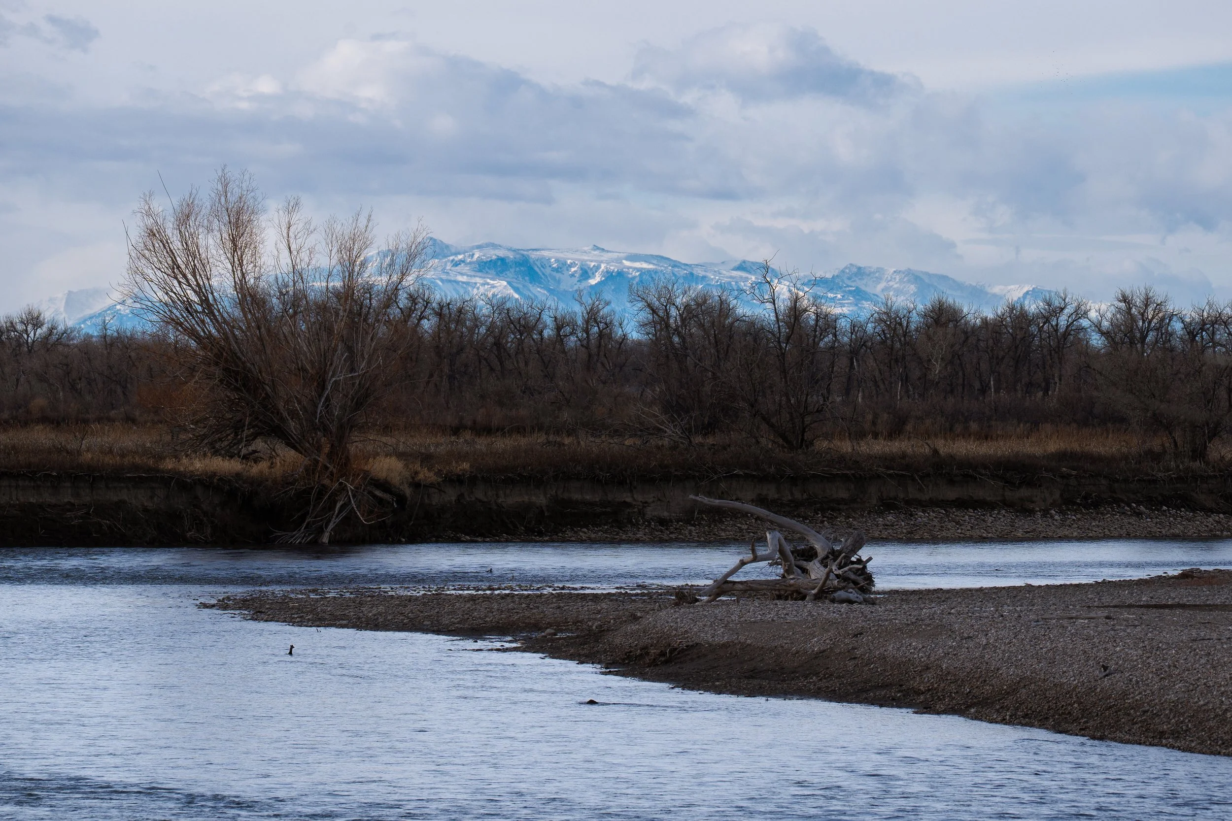 "River Curves and Distant Peaks"