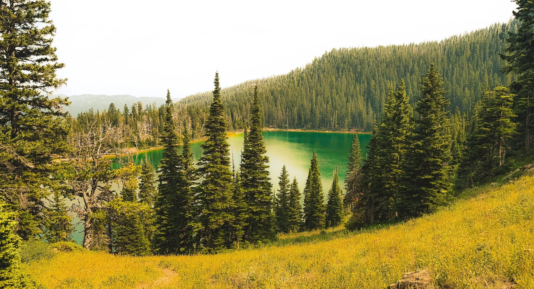 Smokey Summer Lake.jpg