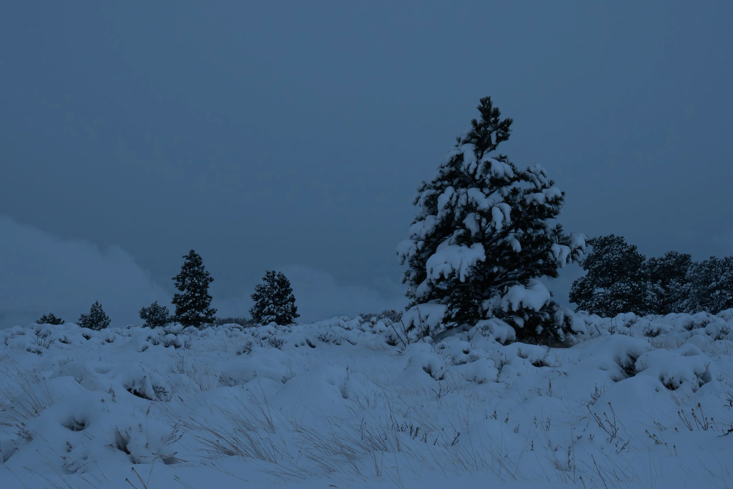 Winter wonderland dark - best winter.jpg