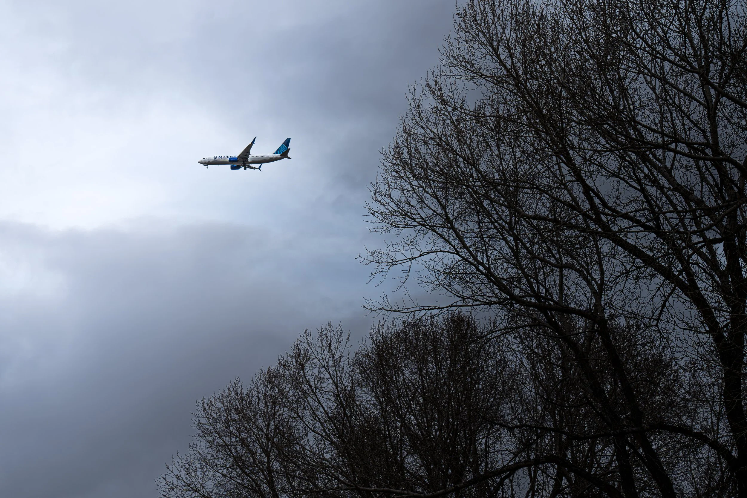 "Flying into the Light"