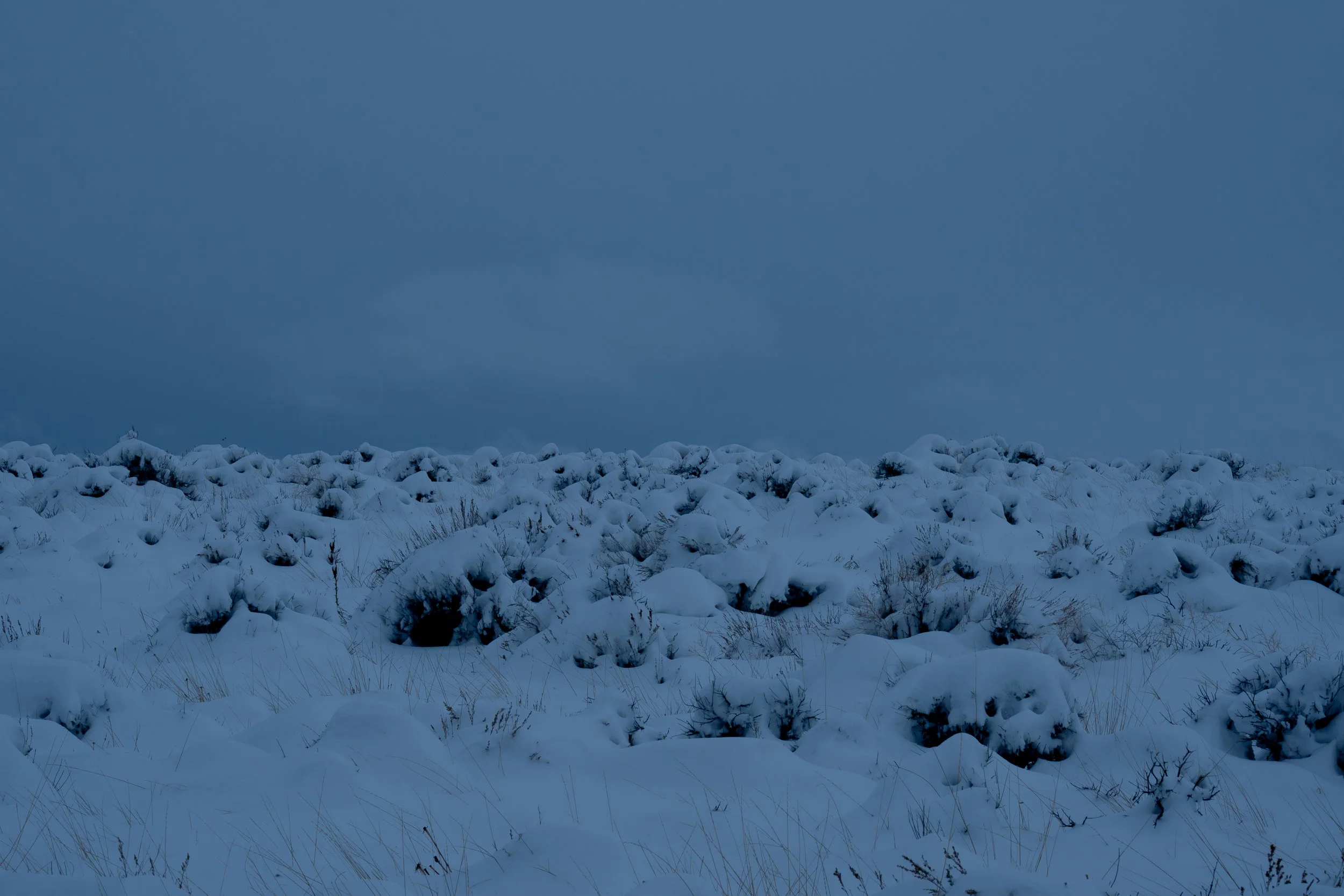 Winter snow covered field.jpg