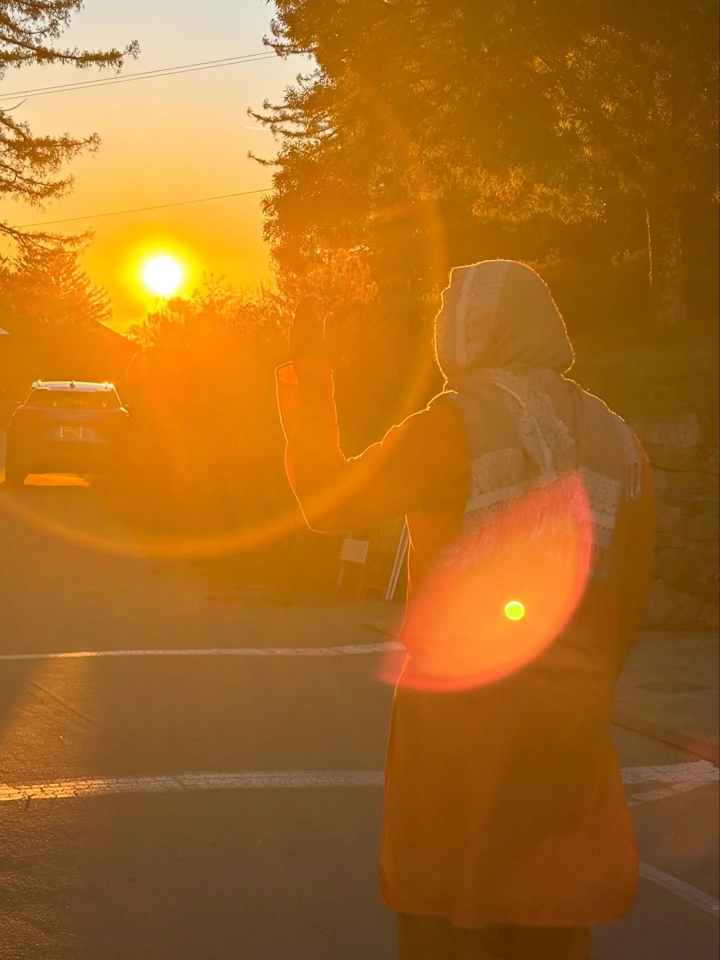Swami with devotees &amp; disciples at Mount Madonna on his Mahaleela day, Nov 1st.