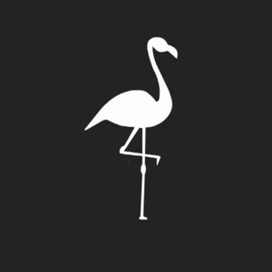 Silhouette of a flamingo standing on one leg against a black background.