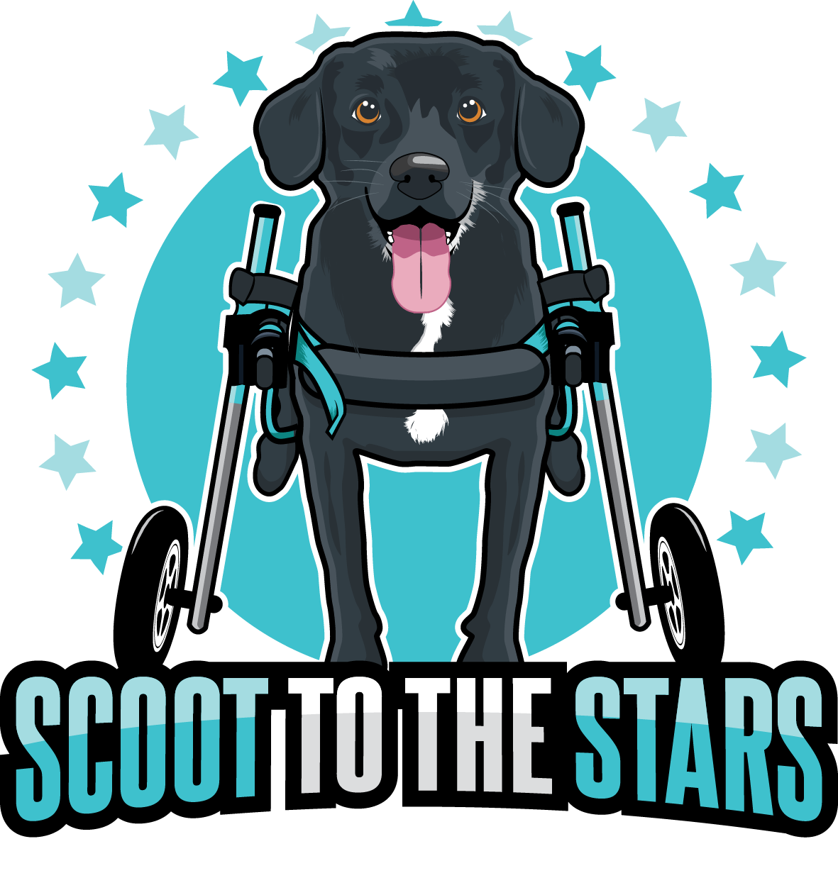 Scoot to the Stars Rescue
