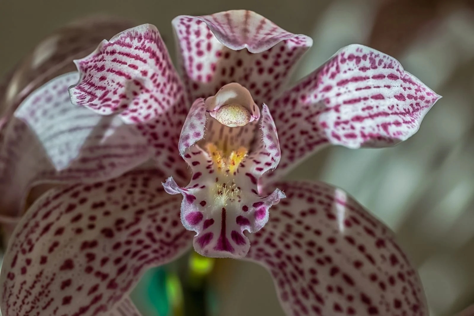 WhatsApp Image 2026-01-12 at 22.01.00 (3).jpeg