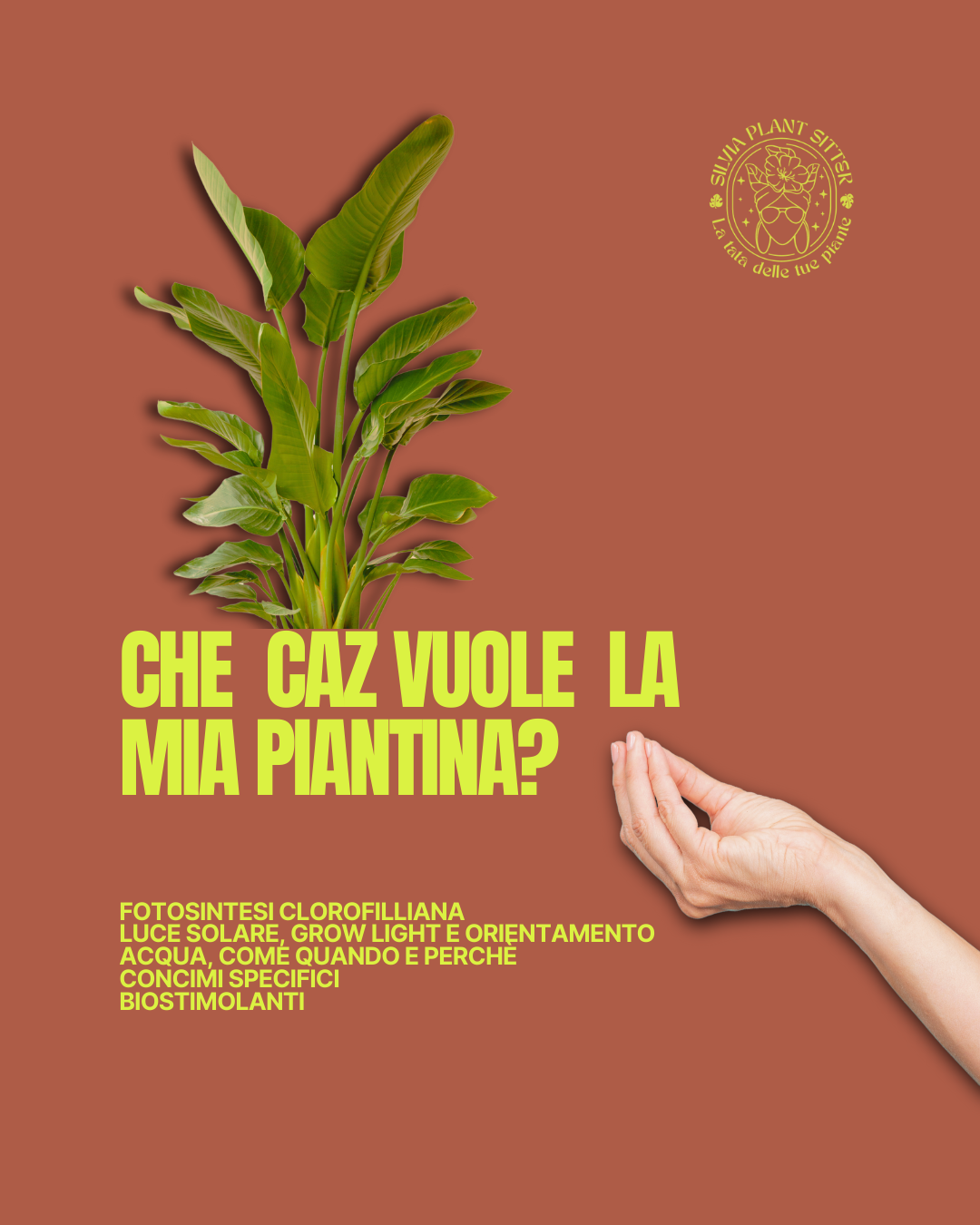 WORKSHOP "CHE CAZ VUOLE LA MIA PIANTINA?”