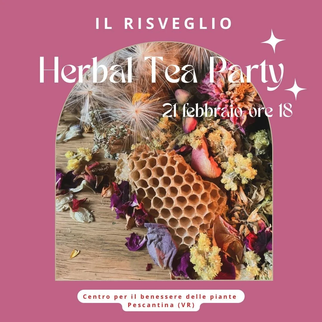 HERBAL TEA PARTY