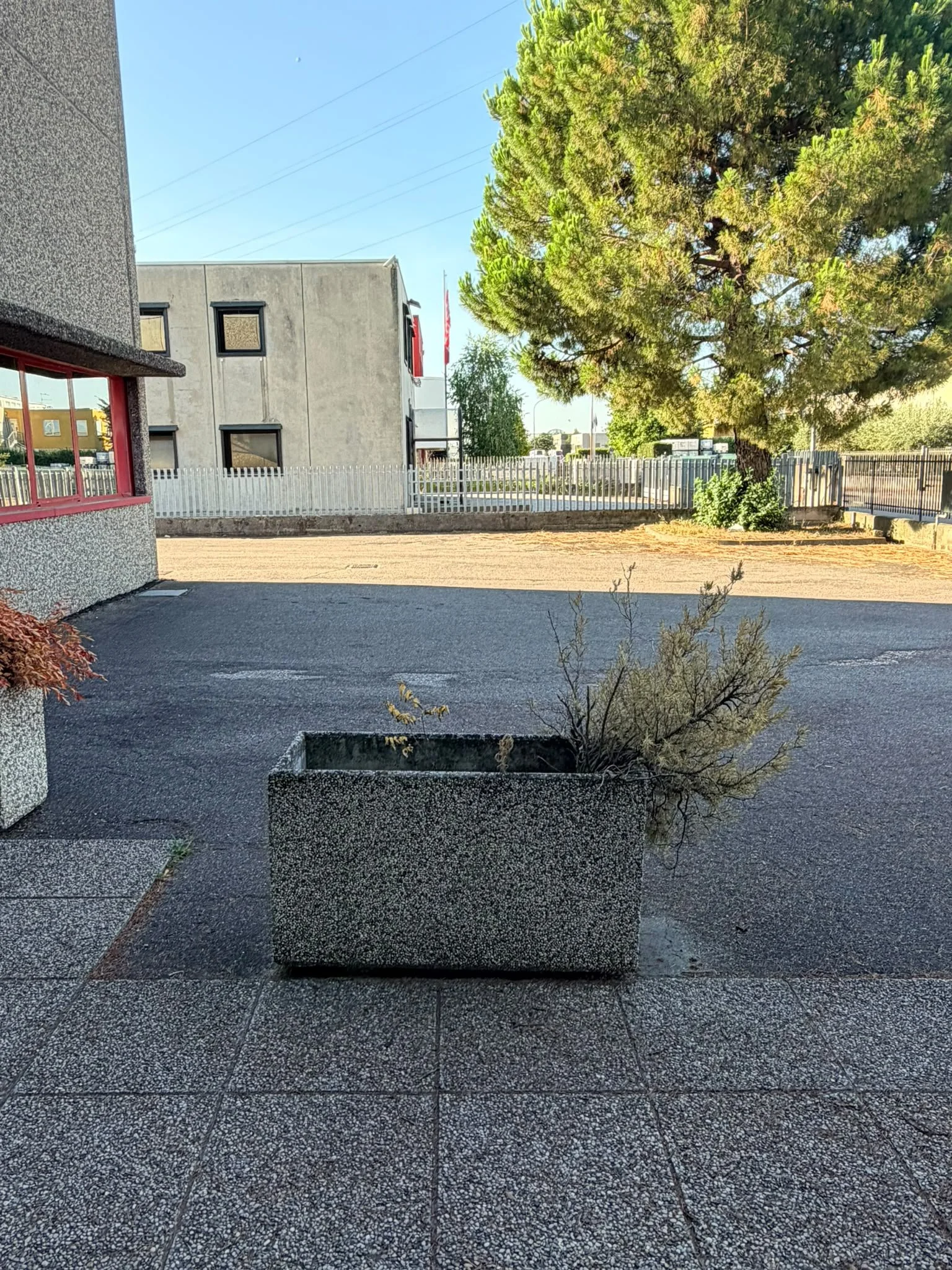 Fioriere  presso azienda Benito Setti audiovisivi Verona