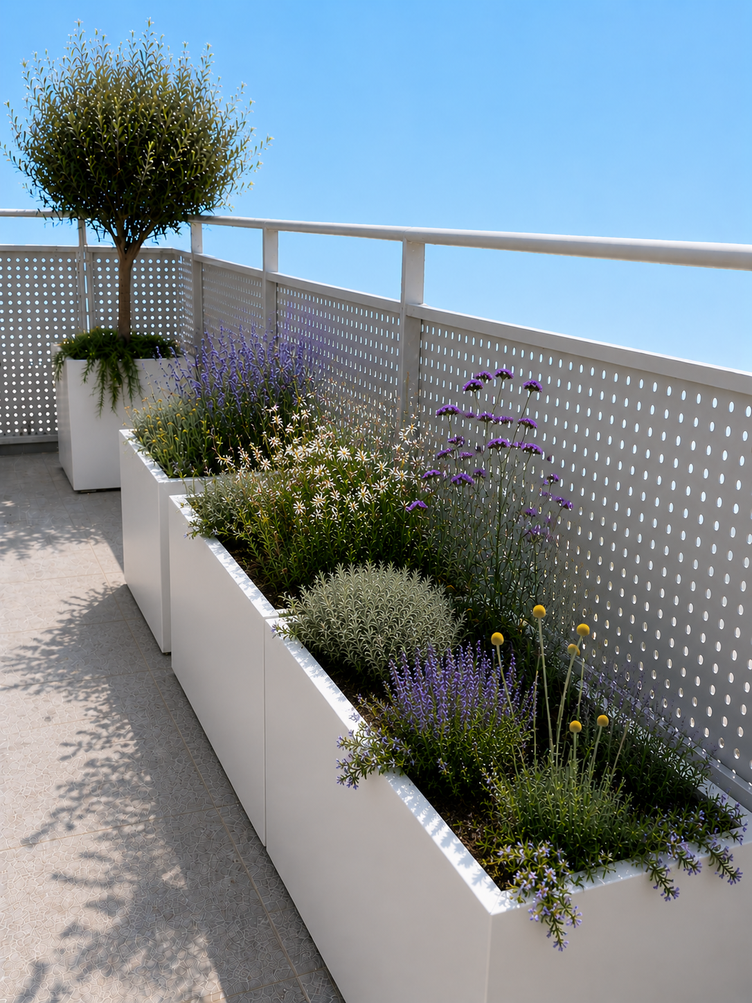 Progettazione fioriere su terrazza piante mediterranee