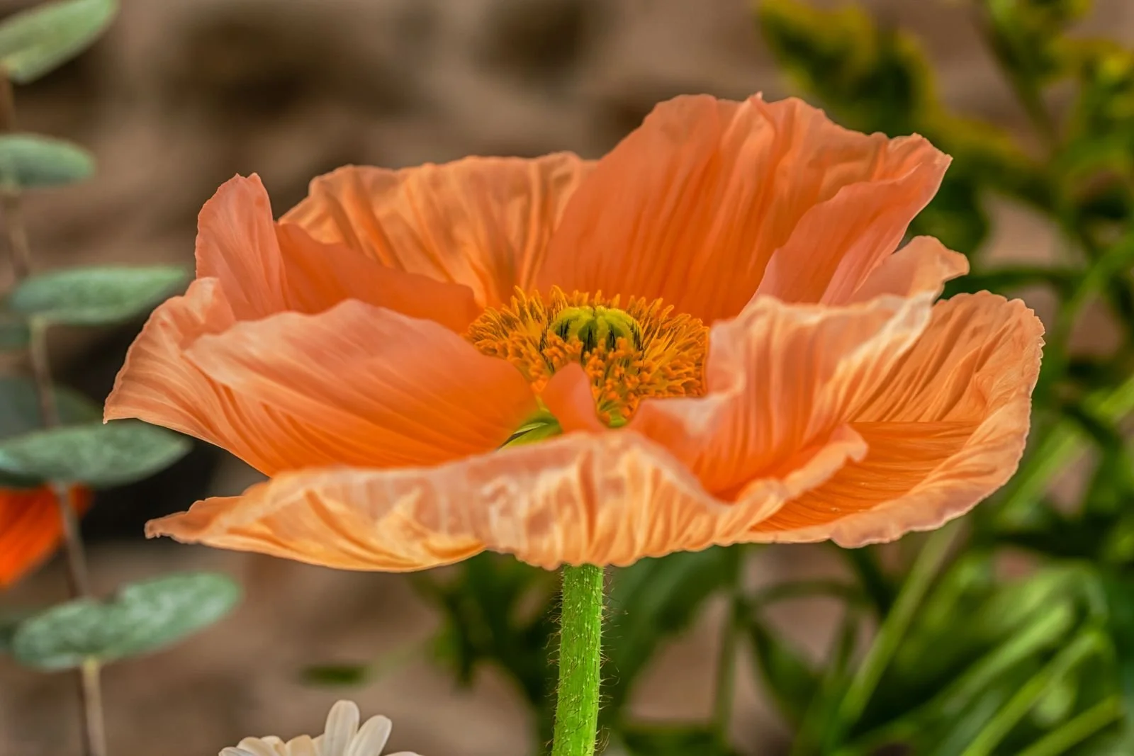 WhatsApp Image 2026-01-12 at 22.00.58.jpeg