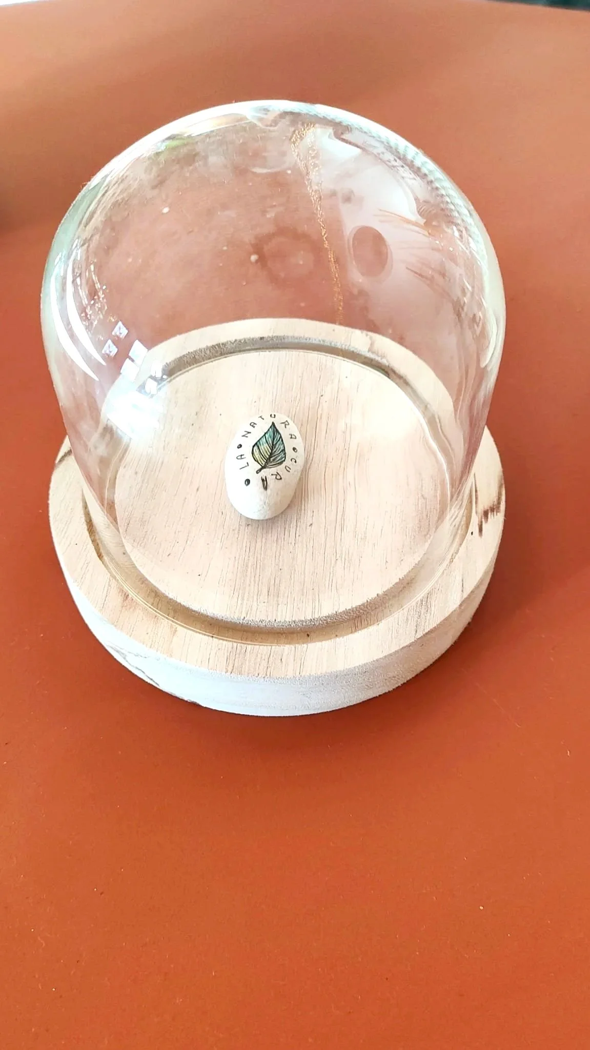 WhatsApp Image 2025-12-16 at 11.33.07 (1).jpg