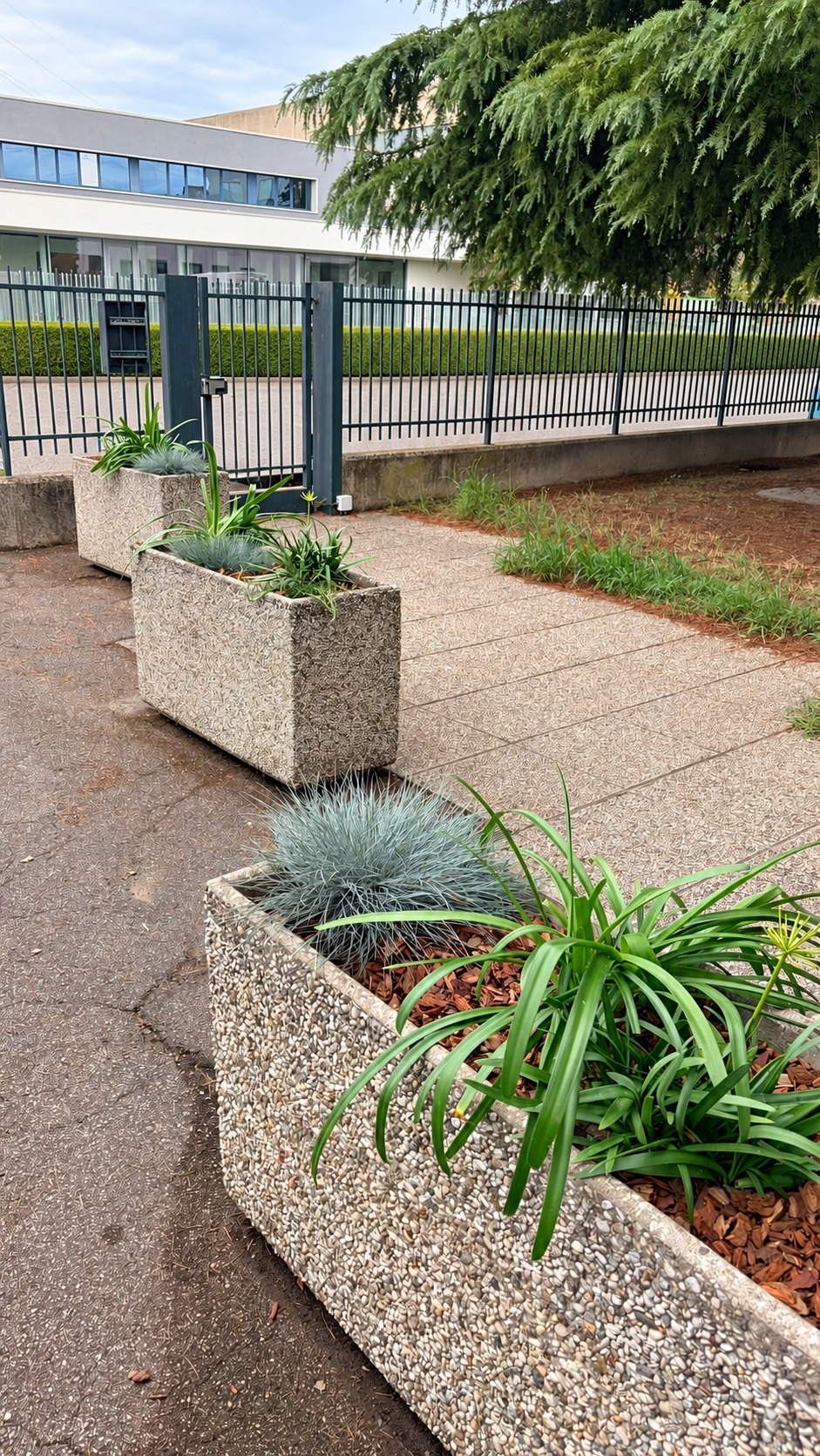 Fioriere allestimento piante e pacciamatura, Bussolengo 