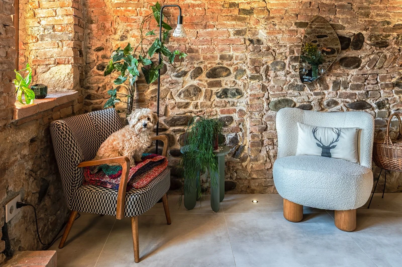 WhatsApp Image 2026-01-11 at 18.50.28 (1).jpeg