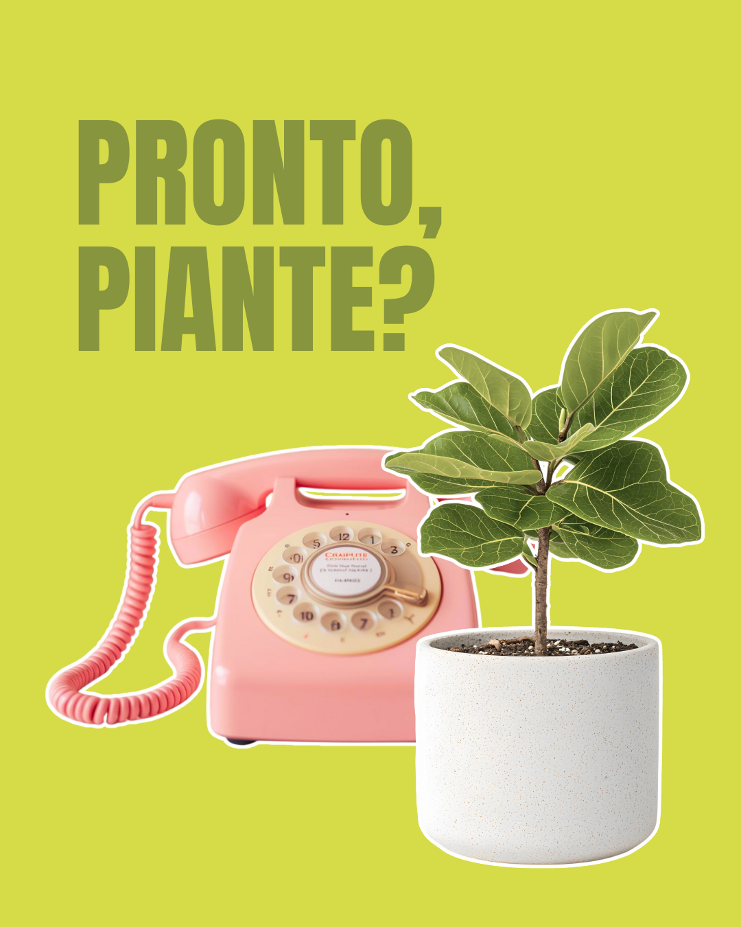 Consulenza piante on line