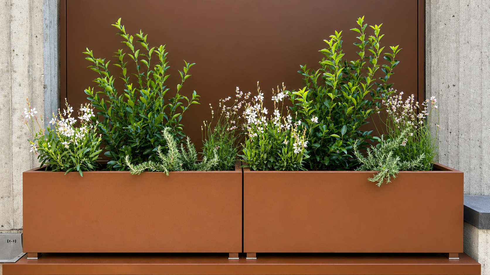 Fioriera balcone Verona con lavanda, gaura, rosmarino prostrato e Euonymus japonicus