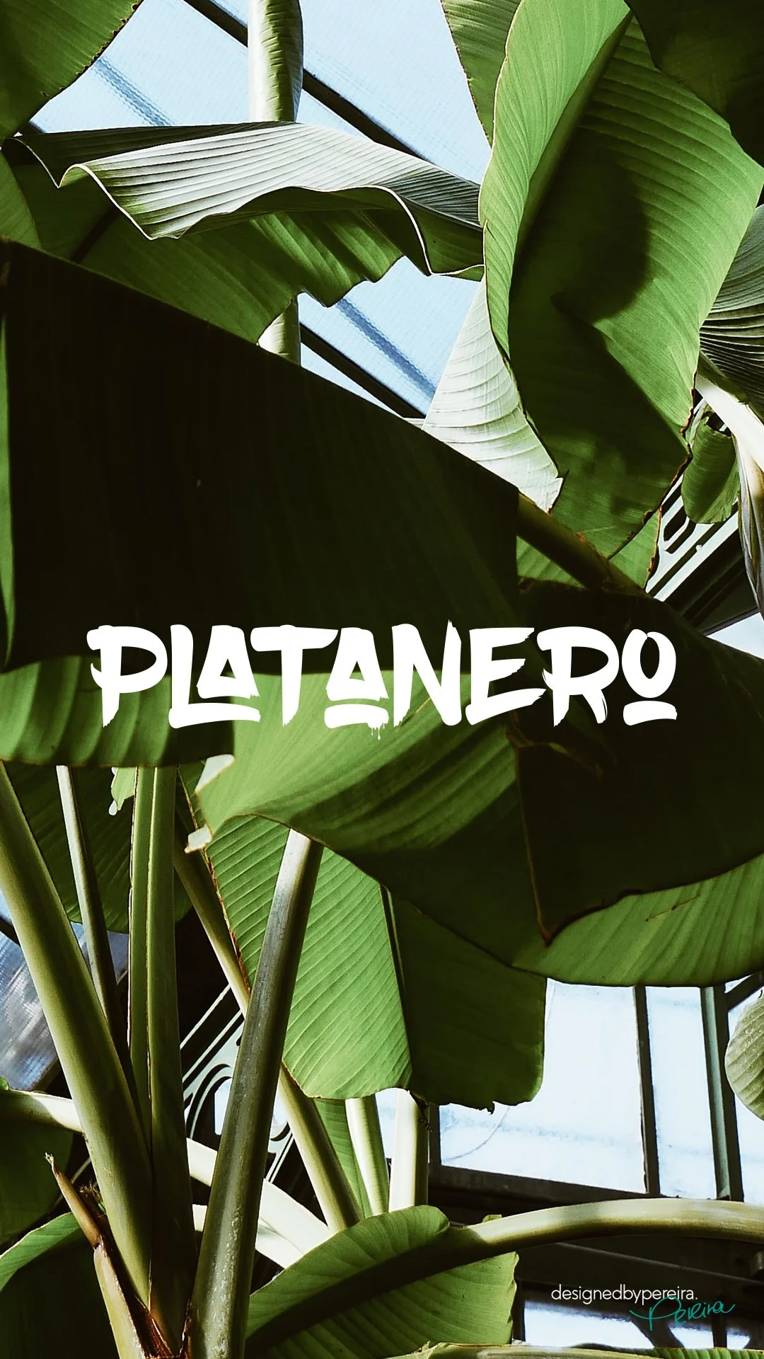 Platanero_Logo_1080x1920.jpg