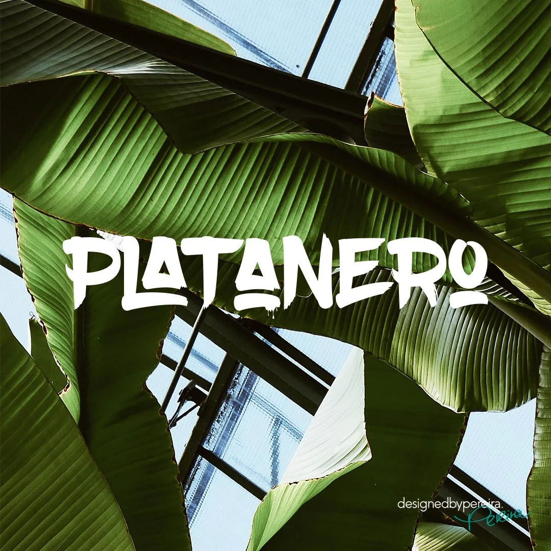 Platanero: CI-Entwicklung & Fashion-Branding (Eigenprojekt)