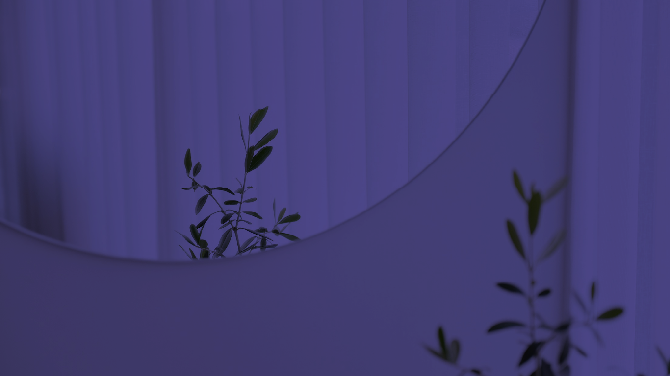 Runder Spiegel mit Sicht auf eine Pflanze mit langen, grünen Blättern, an der Wand angebracht, umgeben von weiteren Pflanzenblättern im Vordergrund.