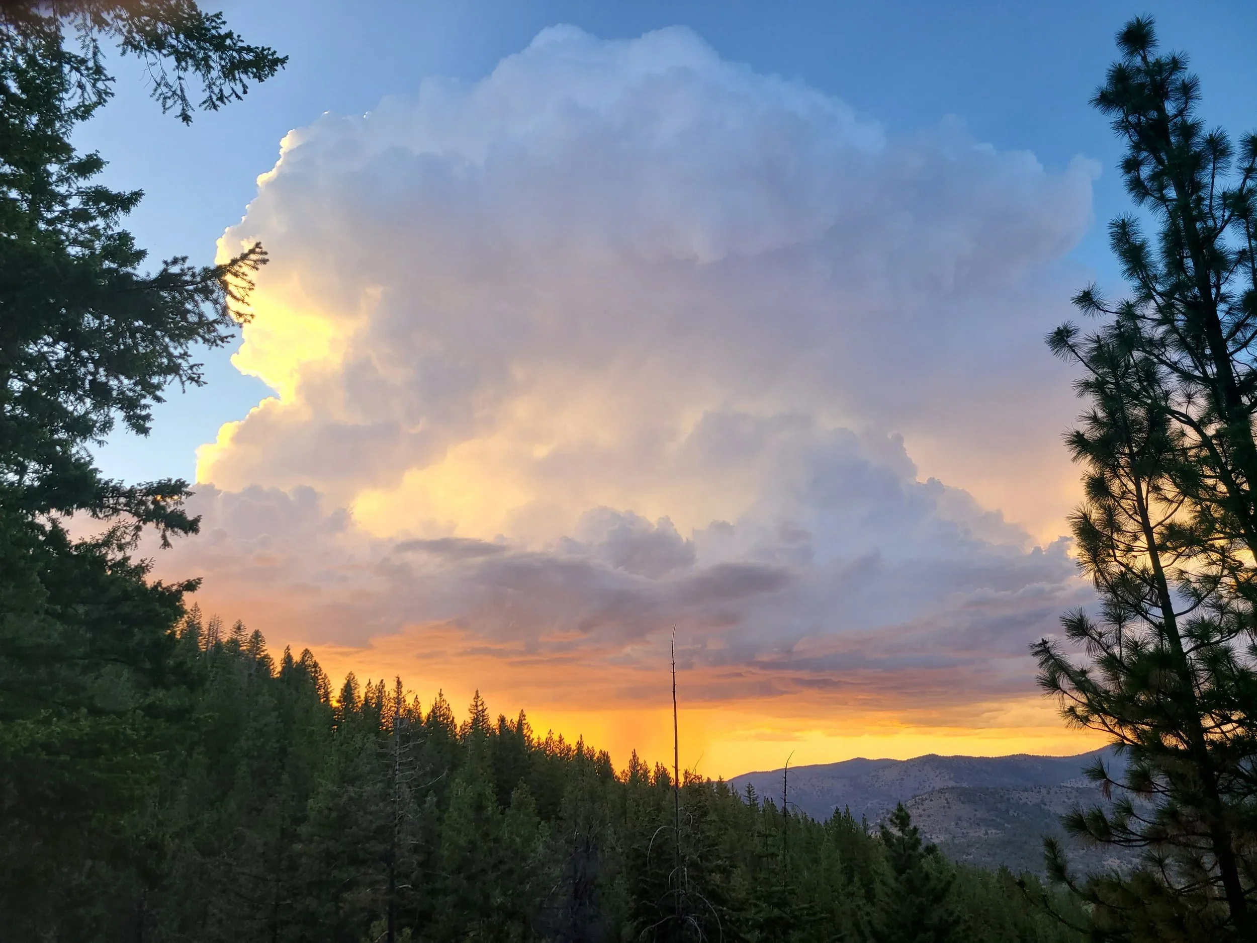 Donation / Access Rate (Please contact us for approval)