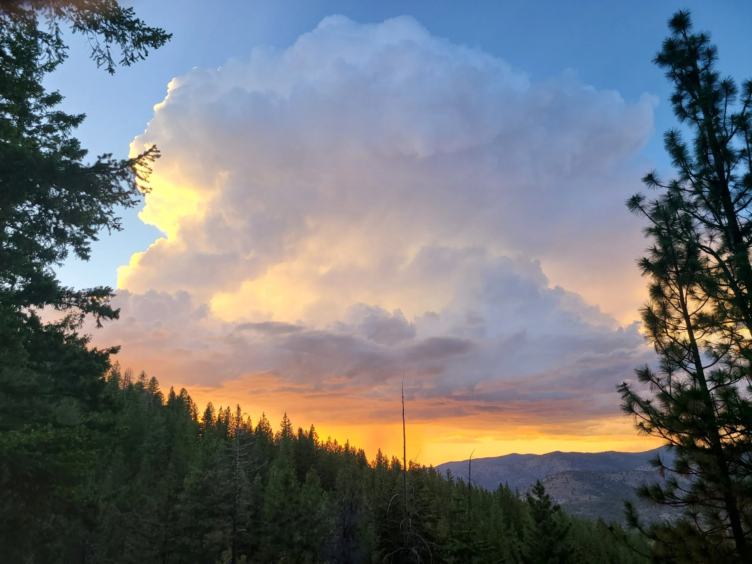 Donation / Access Rate (Please contact us (below) for approval)