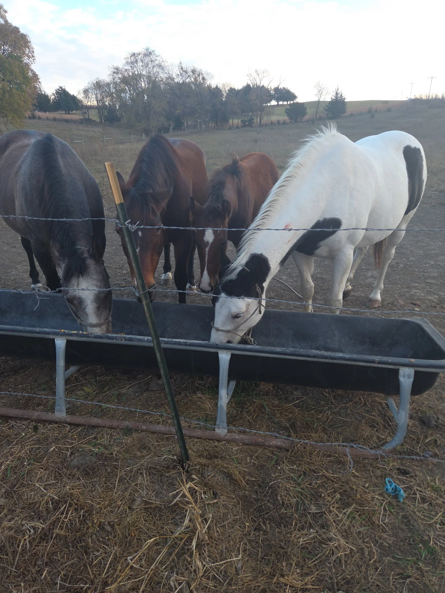 Standard / Reciprocity Rate (Highly Encouraged and Appreciated as it Allows Us to Help Those Who Are Less Financially Fortunate to Participate)