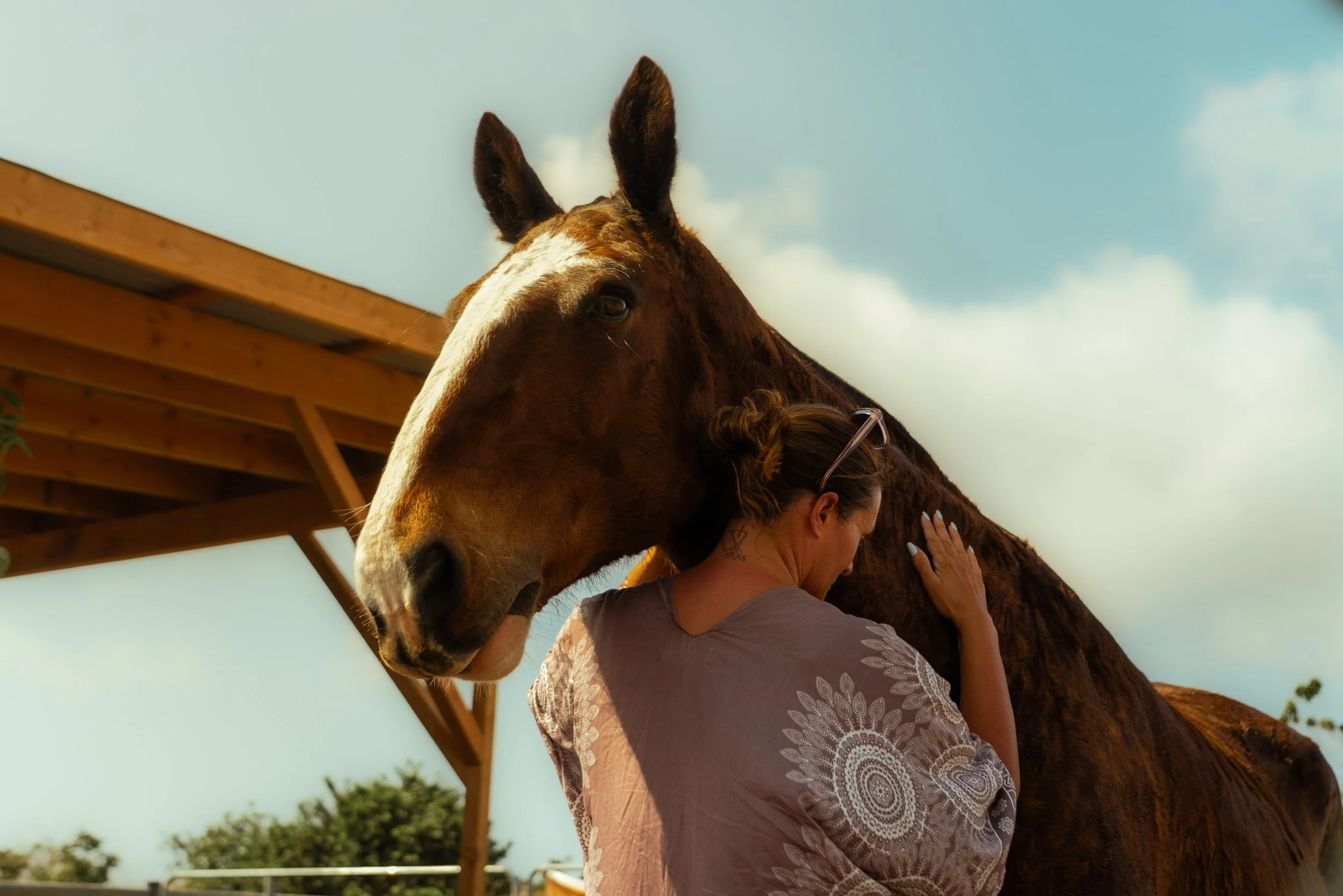 Standard / Reciprocity Rate (Highly Encouraged and Appreciated as it Allows Us to Help Those Who Are Less Financially Fortunate to Participate)